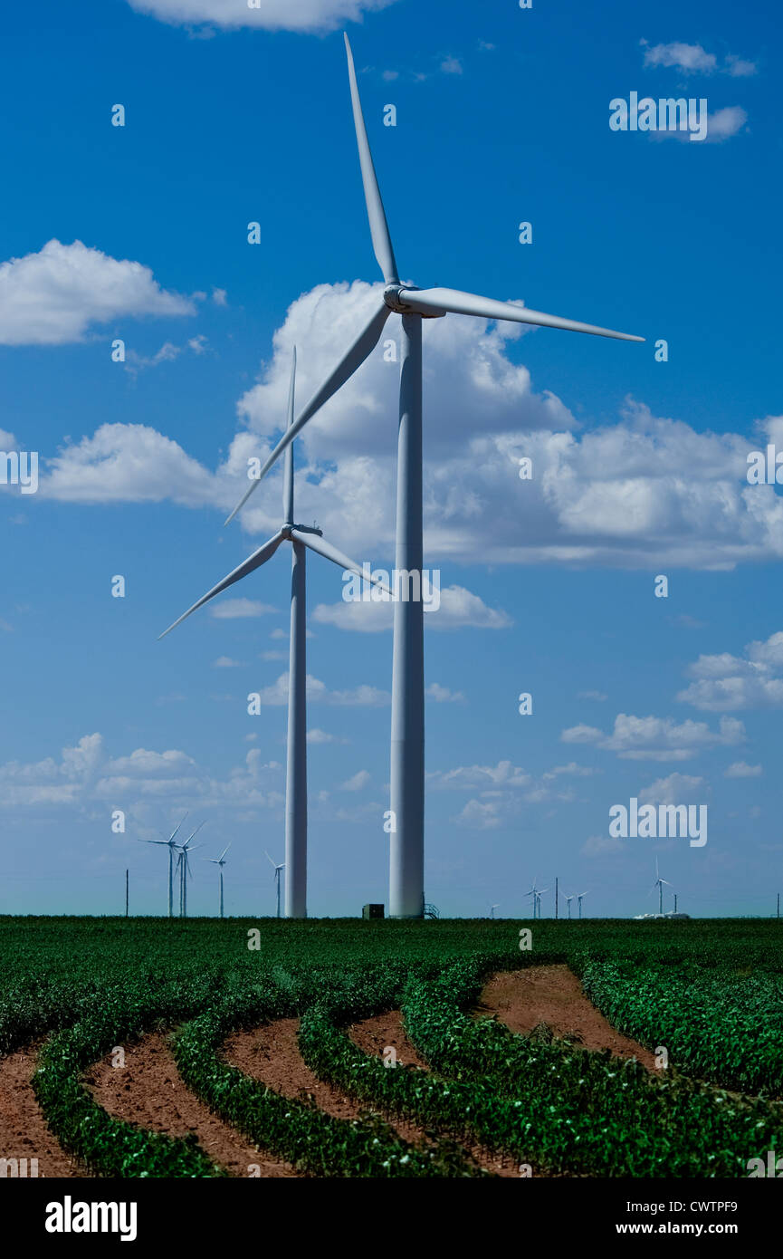 Wind Power Farm. Stock Photo