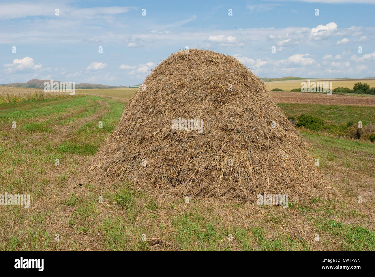 Haystacks hires stock photography and images Alamy