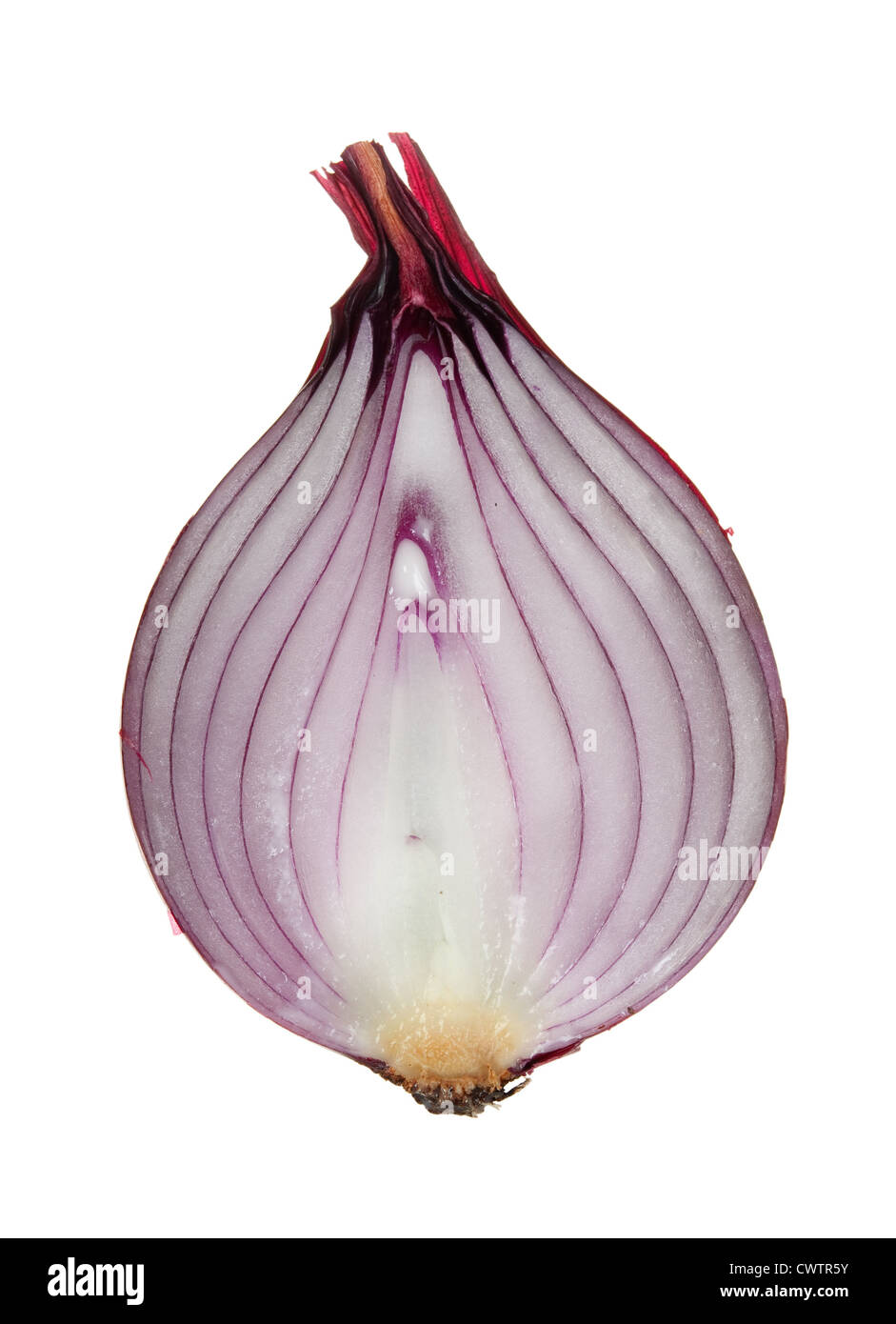The sliced red onion Stock Photo - Alamy