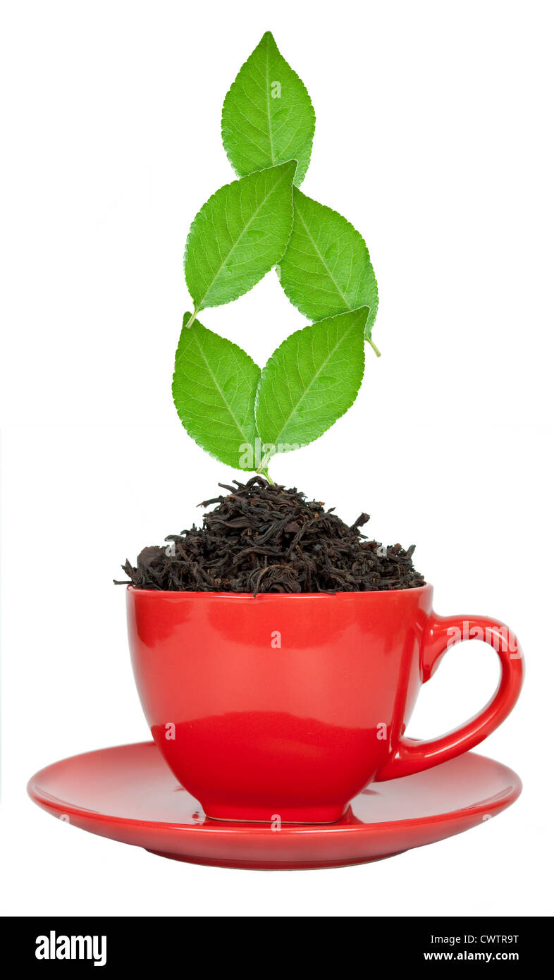 Red tea cup with the leaves Stock Photo Alamy