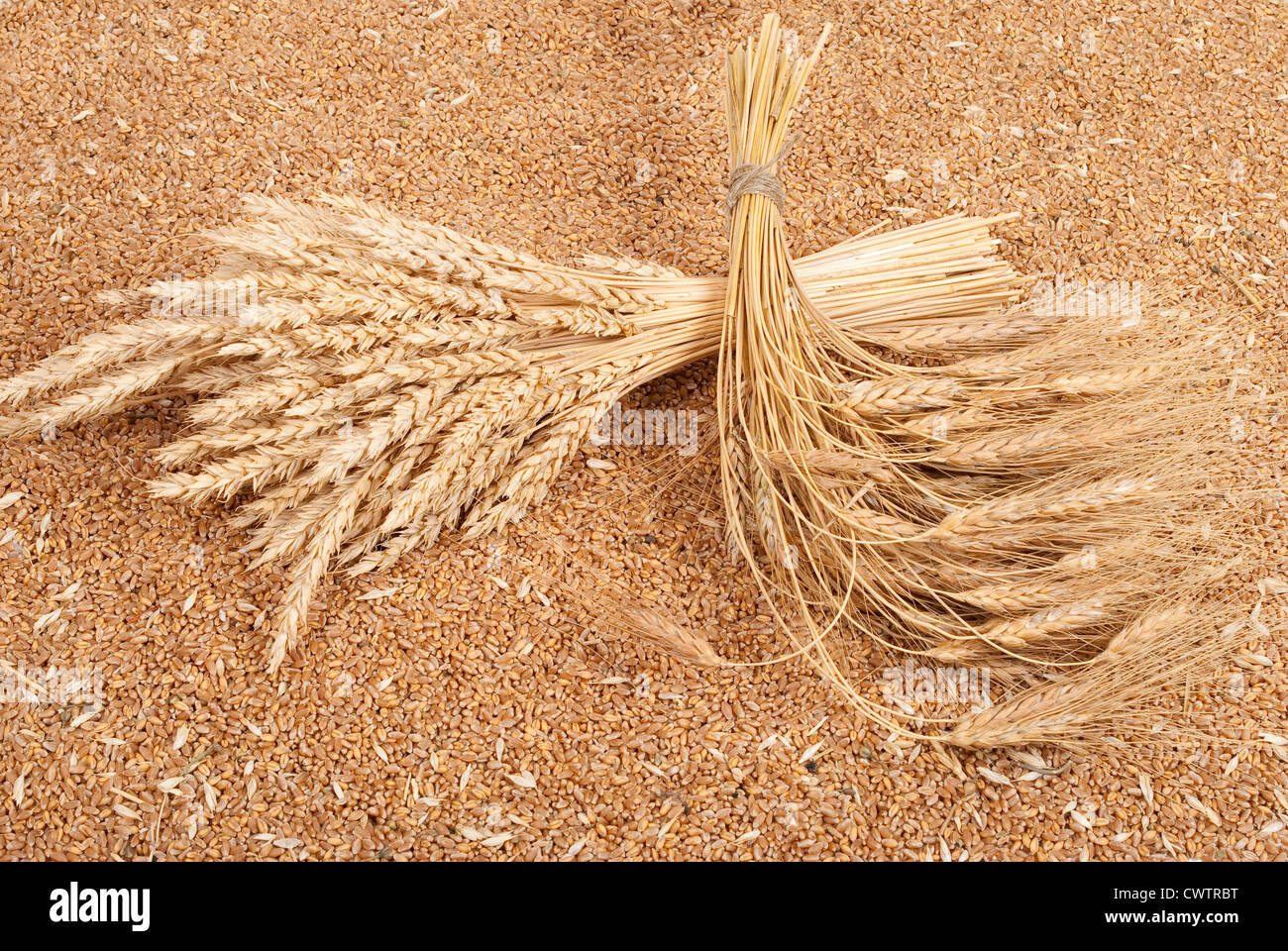 Sheaves of wheat hires stock photography and images Alamy