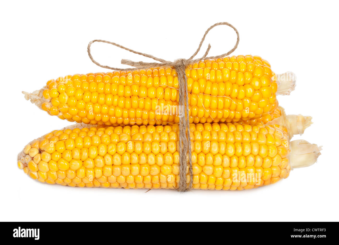 Ear of corn with rope Stock Photo - Alamy