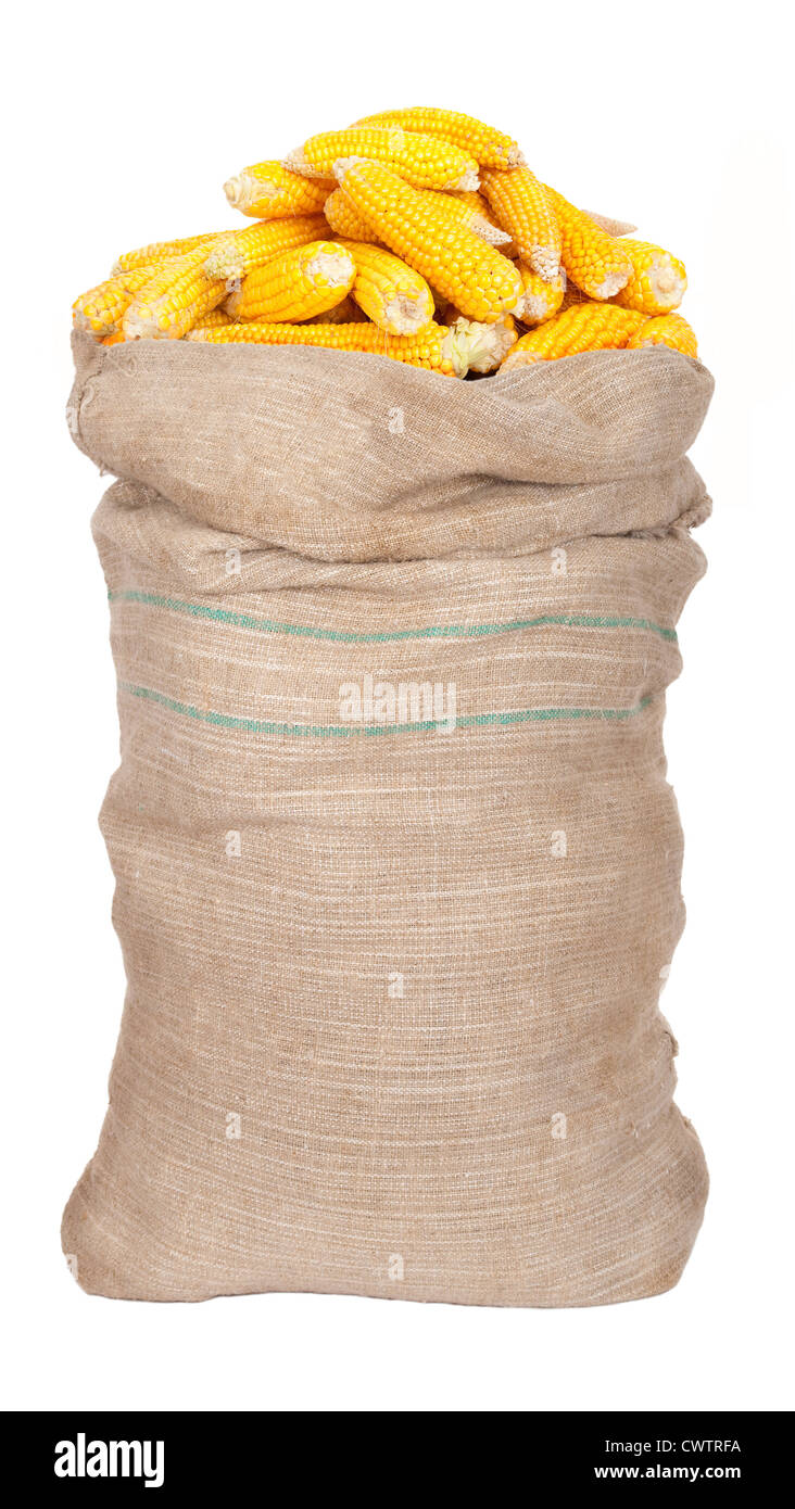 Big sack of corn cobs Stock Photo - Alamy