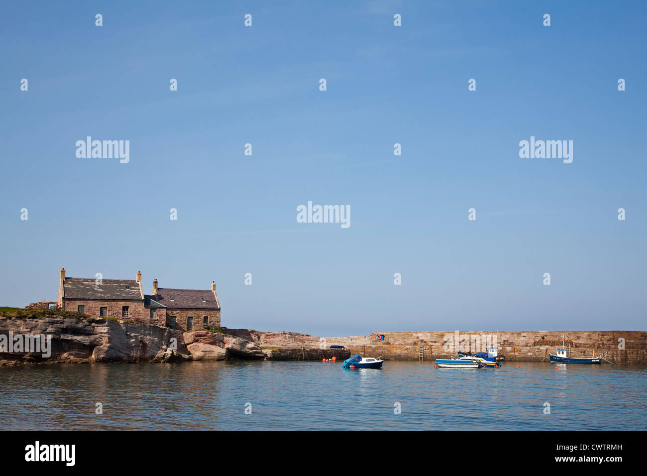 Cove harbour, Scottish Borders, Scotland Stock Photo Alamy