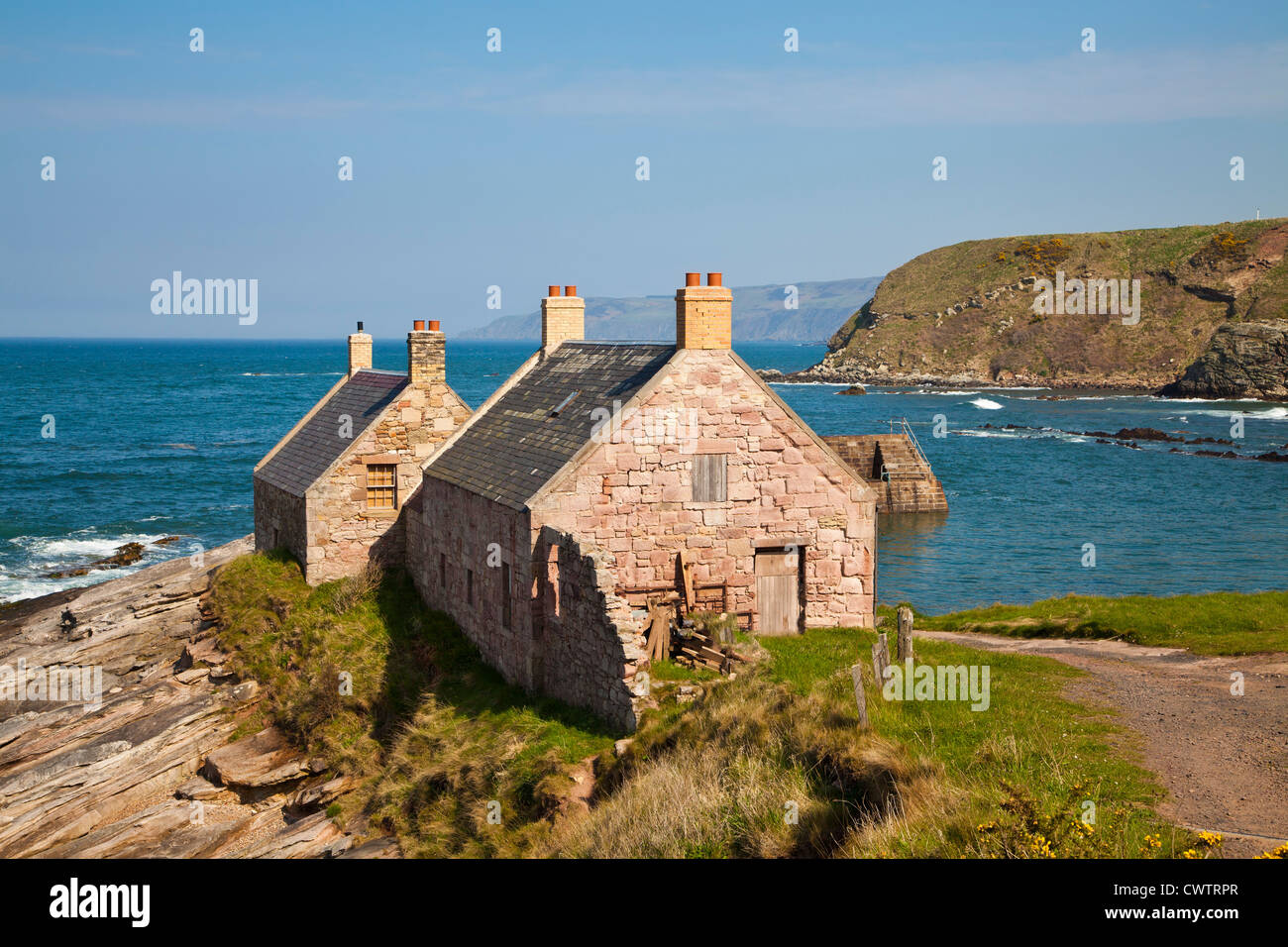 Cove harbour, Scottish Borders, Scotland Stock Photo Alamy