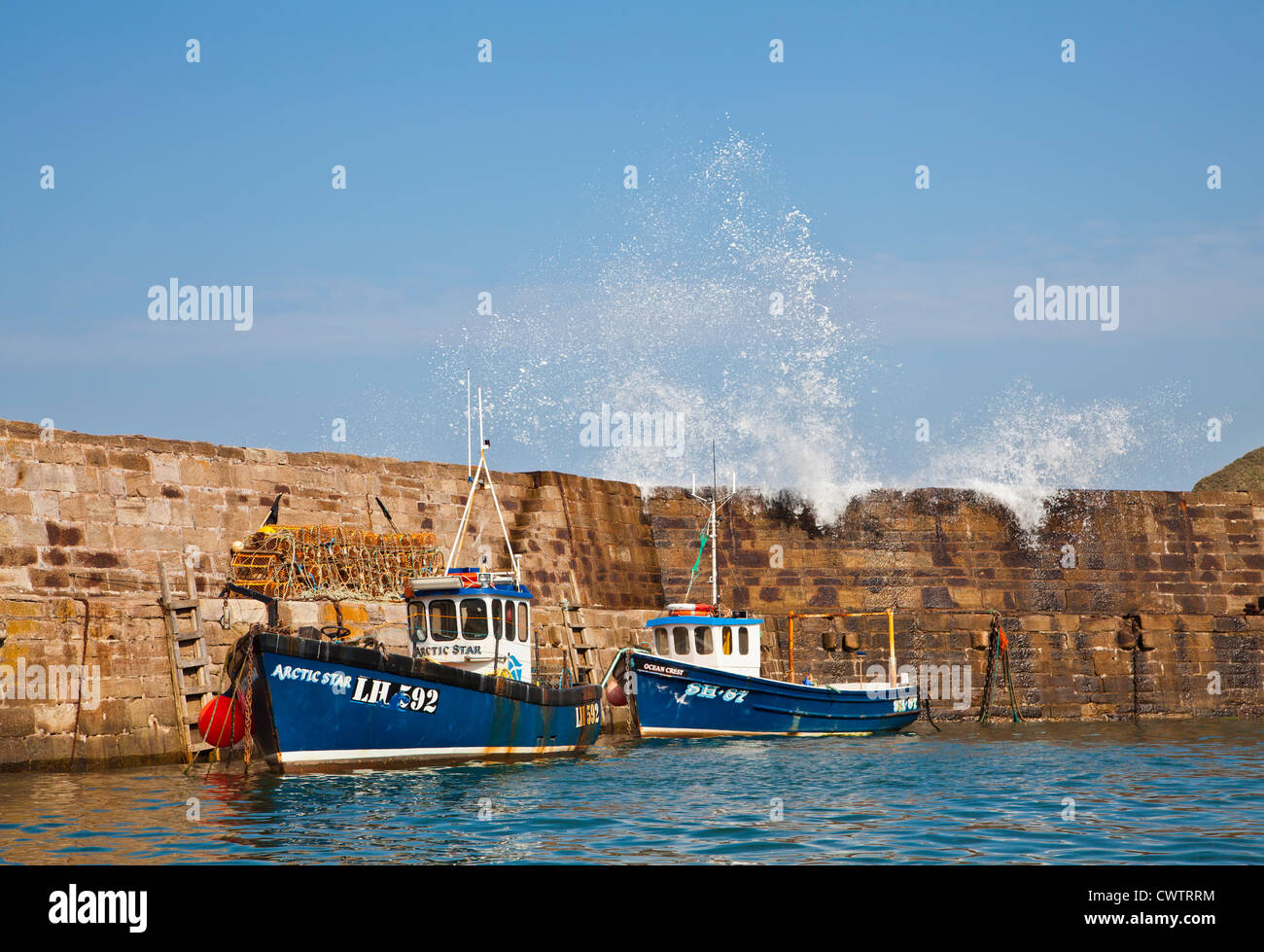 Cove harbour, Scottish Borders, Scotland Stock Photo Alamy