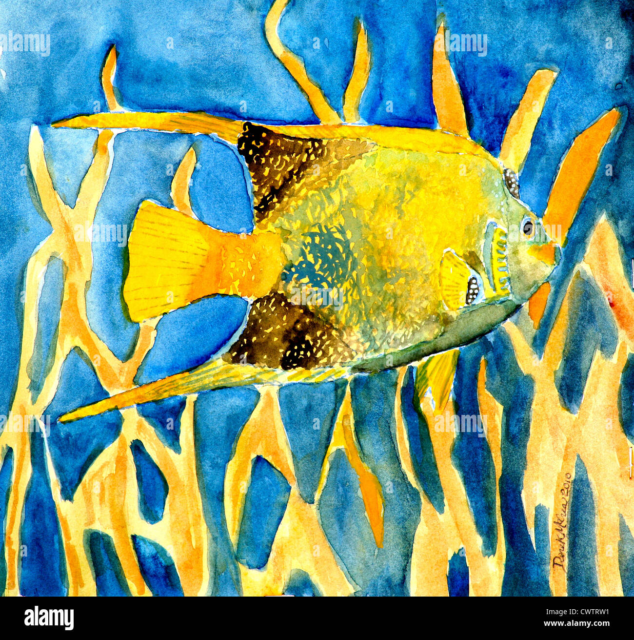 square fish watercolor painting yellow and blue saltwater salt water Stock Photo