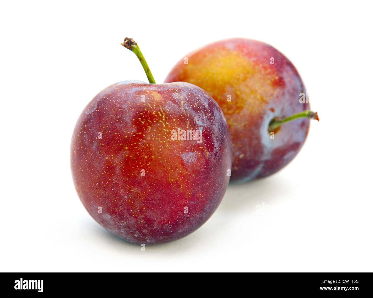 Plum fruit isolated on white background Stock Photo