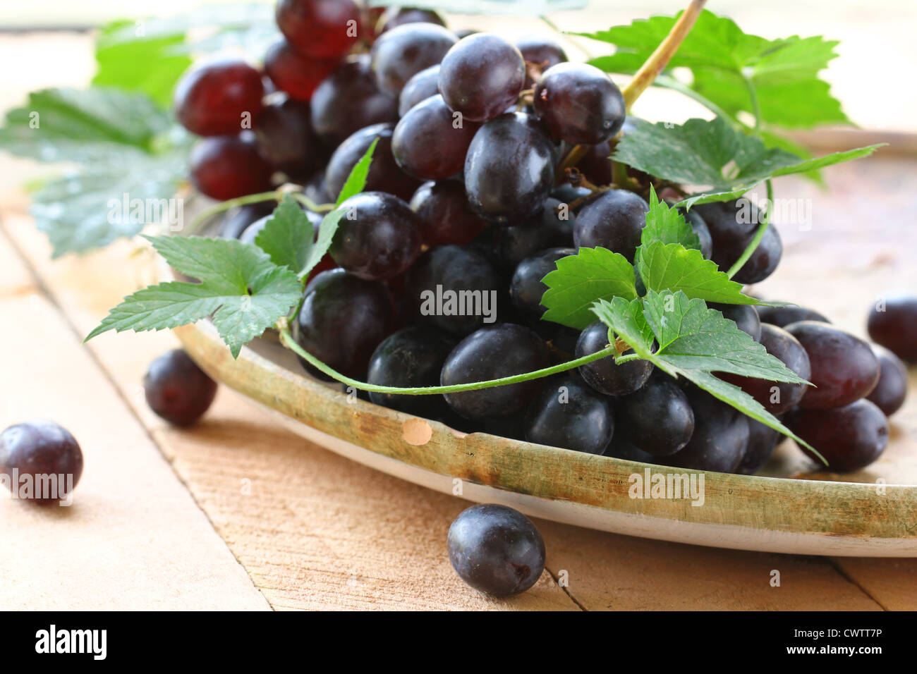 Photo inspiration: Brush Black Ripe Grapes Hi Res Stock Photography And Images Photo Inspiration