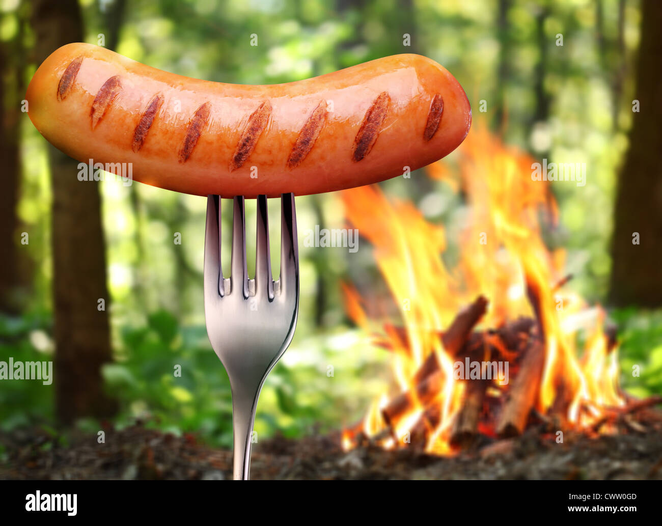 Sausage on a fork. In the background a bonfire in the forest. Stock Photo