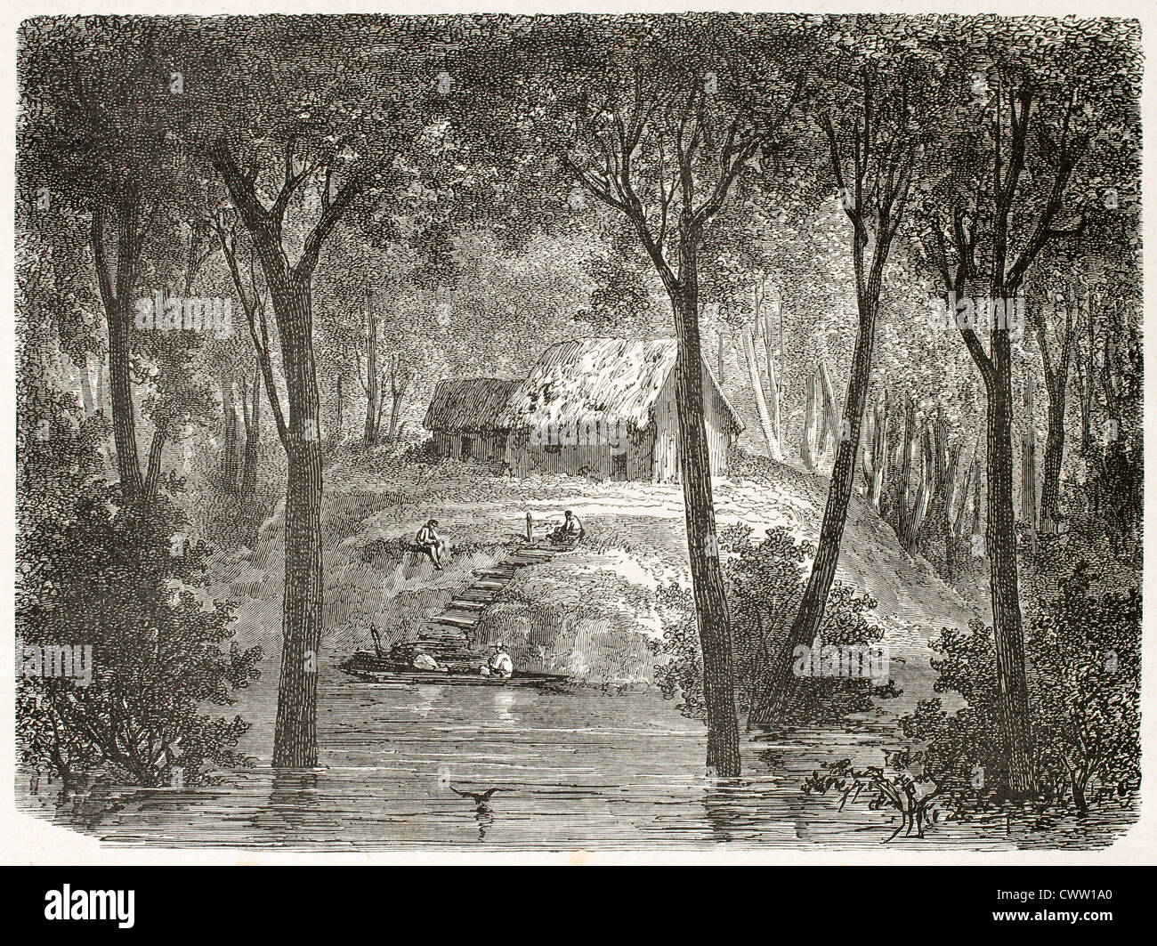 Hut in Amazon forest Stock Photo Alamy