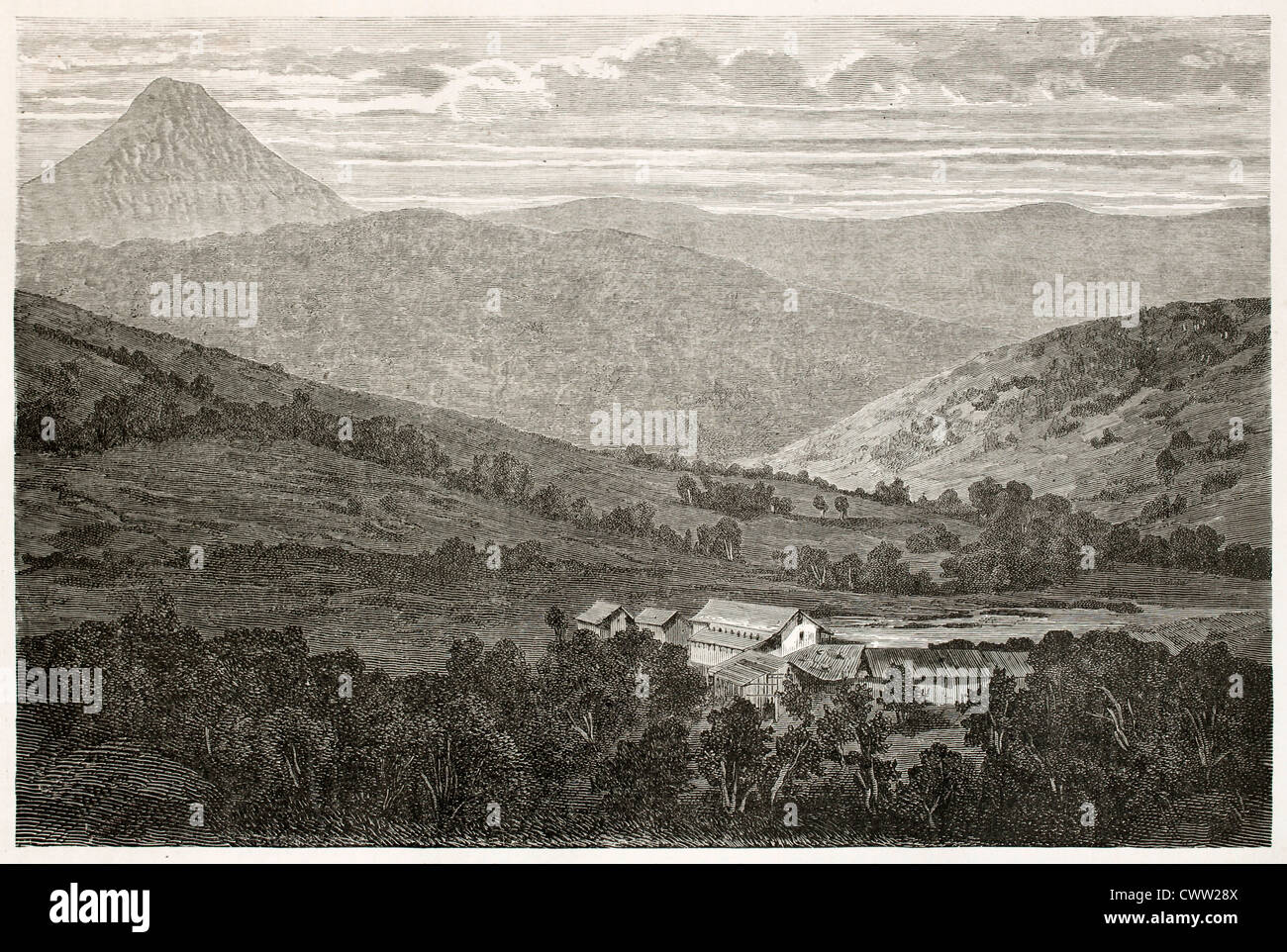 Koe plain hi-res stock photography and images - Alamy