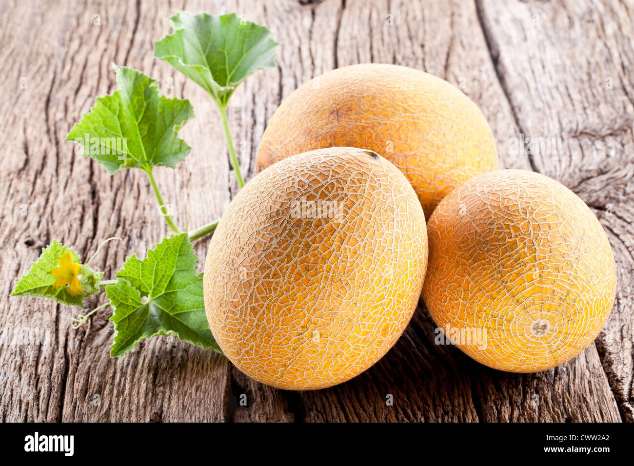 Three melon with the leaves on the old wooden table. Stock Photo