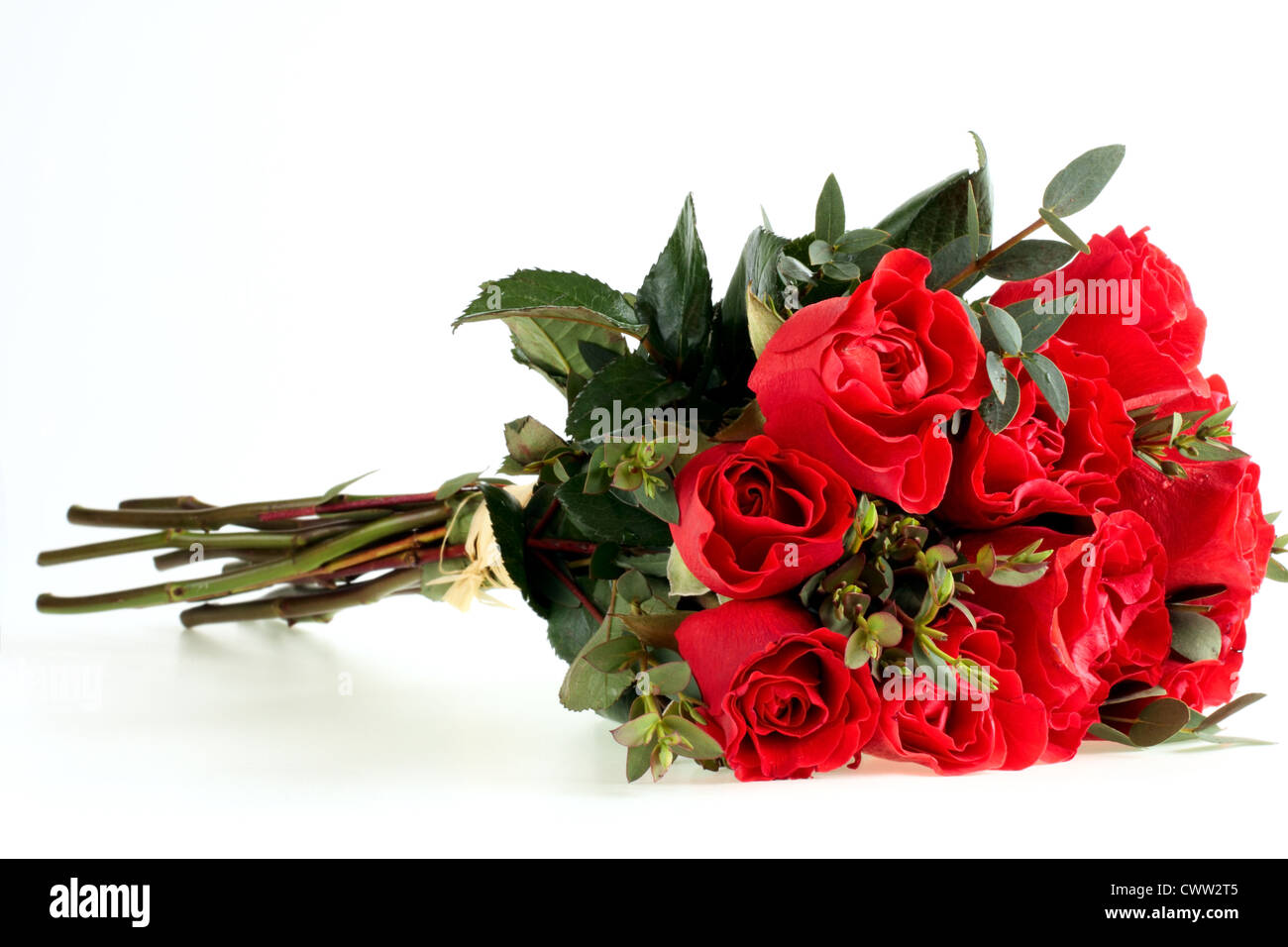 bouquet of red roses on white background Stock Photo - Alamy