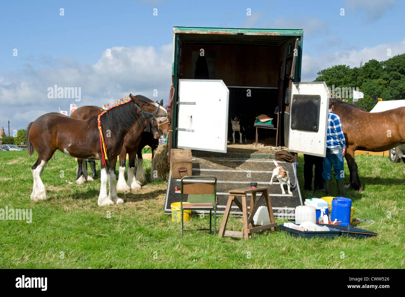 Horse box and horses at Egton Show in summer North York Moors National