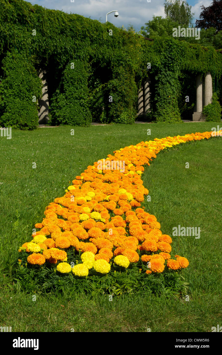 Flowers. Millennium Hall. Wroclaw Stock Photo Alamy