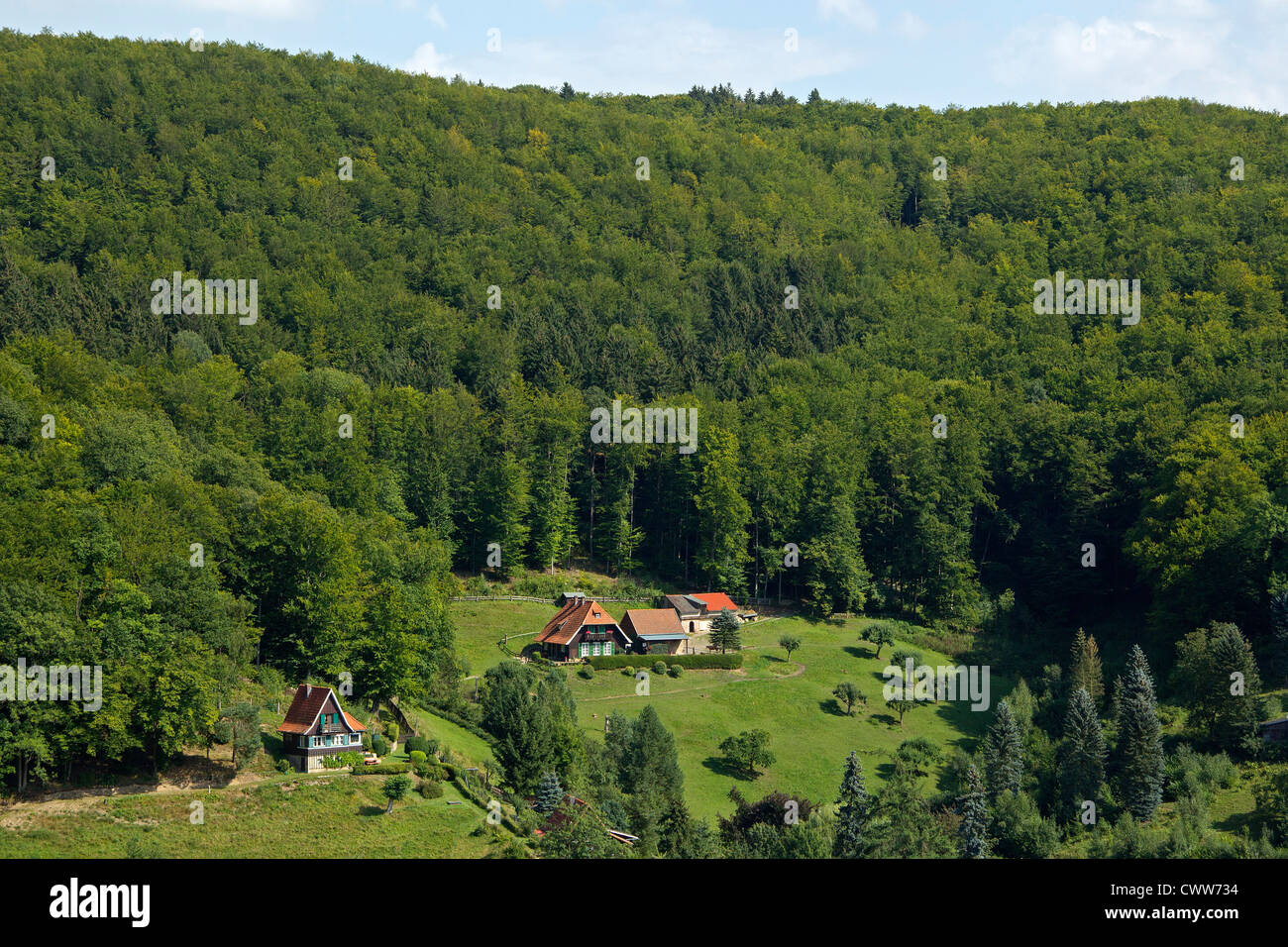 panoramic view from Lutherbuche (Luther´s Beech), Stolberg, Harz Mountains, Saxony-Anhalt, Germany Stock Photo