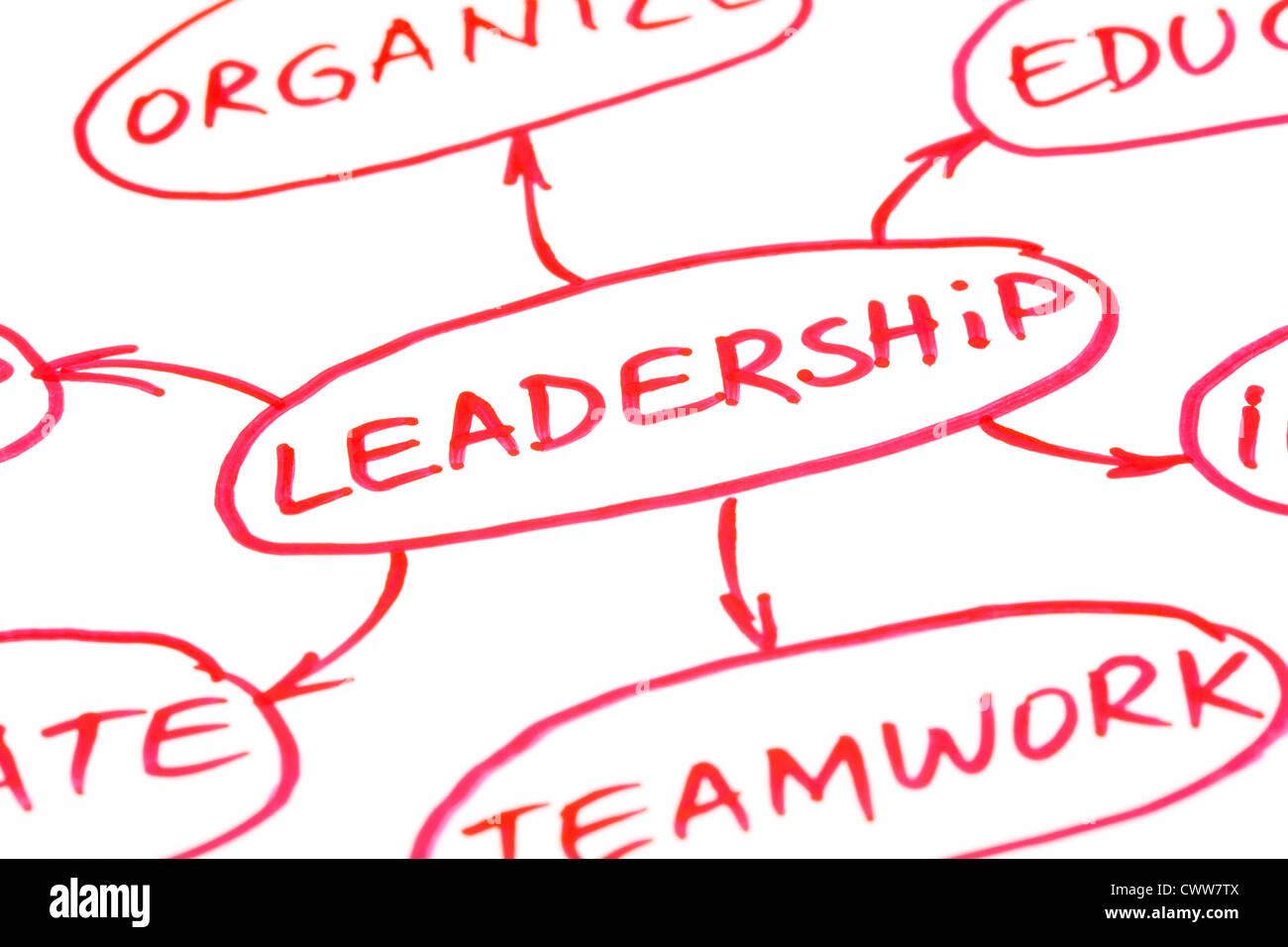 Leadership flow chart written with red pen on paper Stock Photo