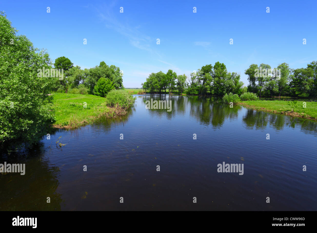 landscape with calm river water and green trees Stock Photo