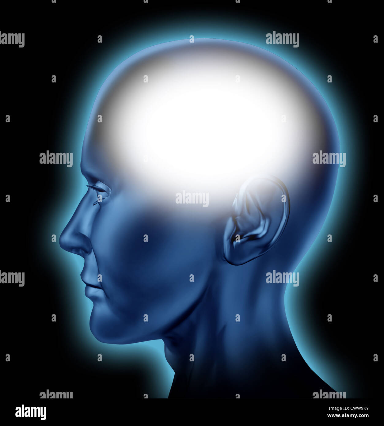 Blank human head with white area for editing representing the concept of thinking and intelligence og the mind. Stock Photo