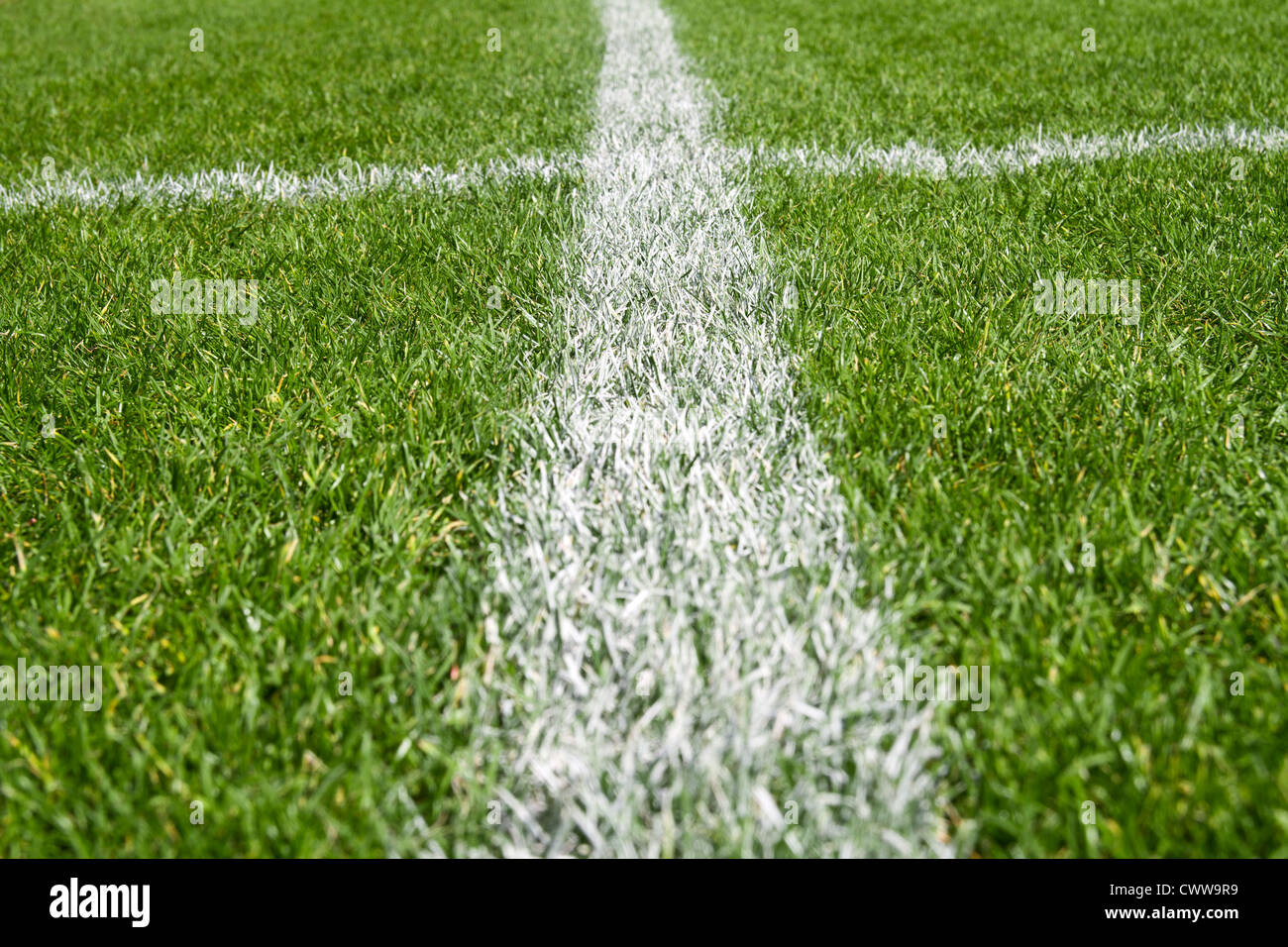 Lines on soccer grass hires stock photography and images Alamy