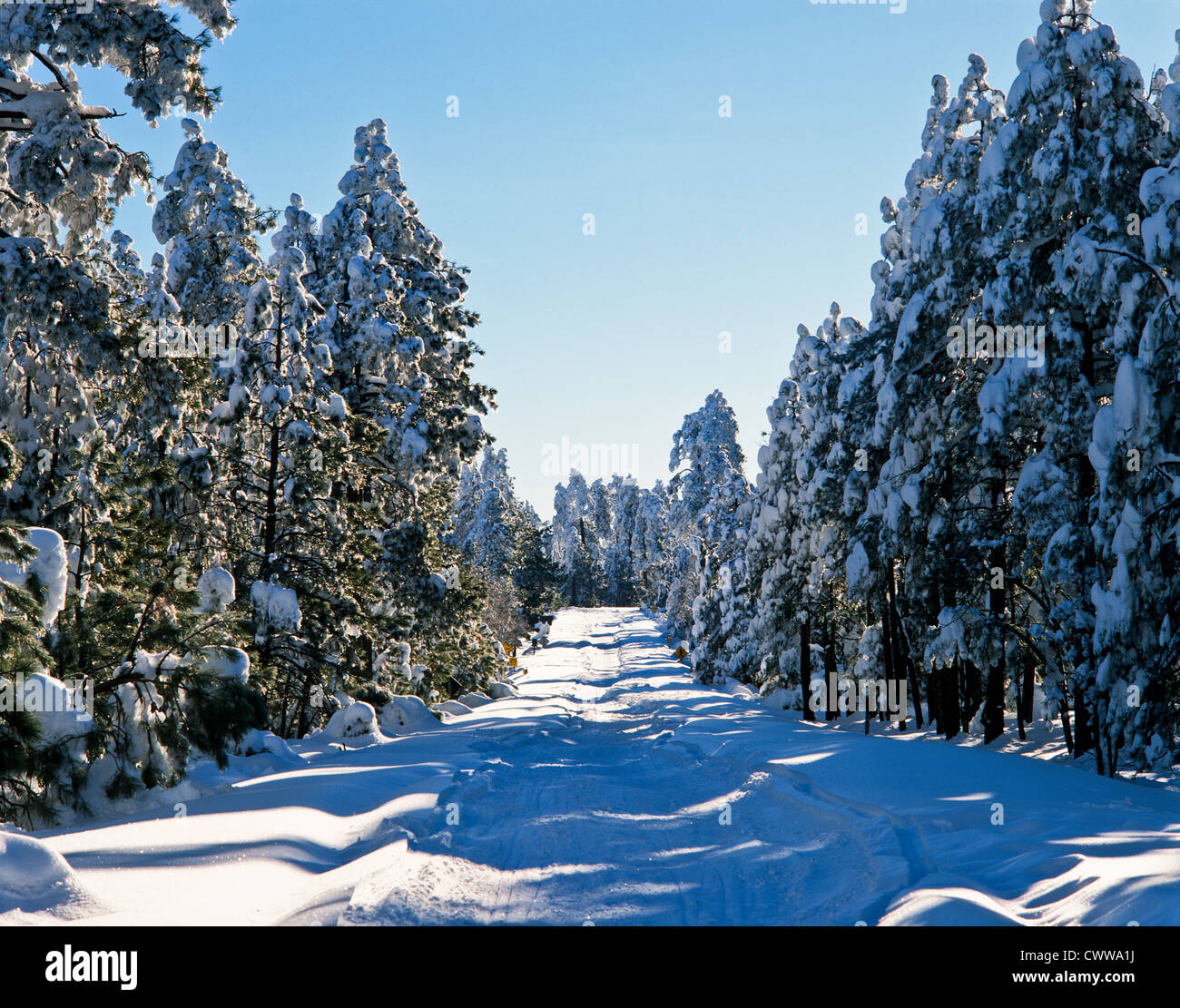 The Mogollon Rim is a topographical and geological feature running ...