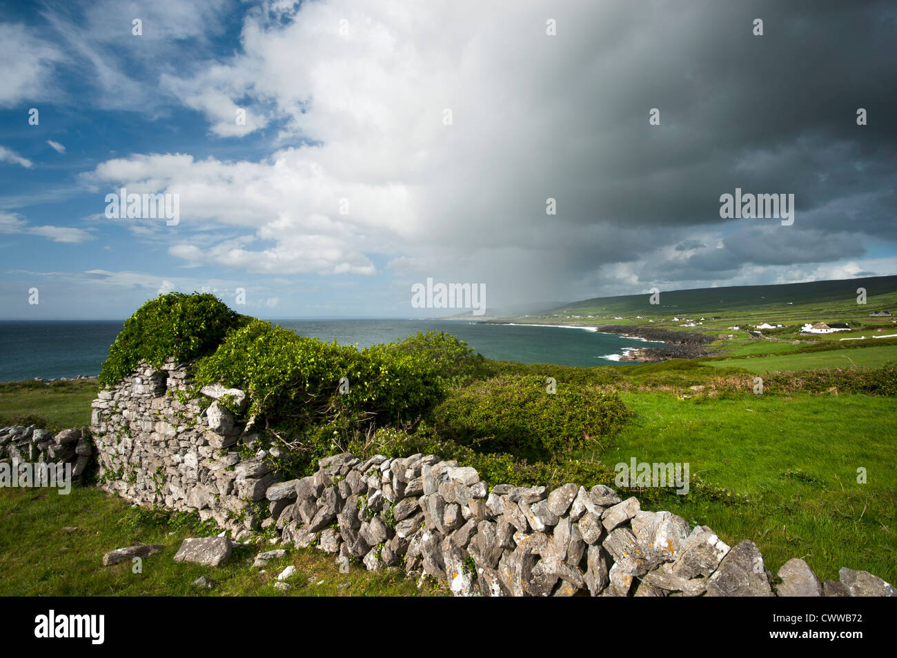 Grass on stone wall in rural landscape Stock Photo