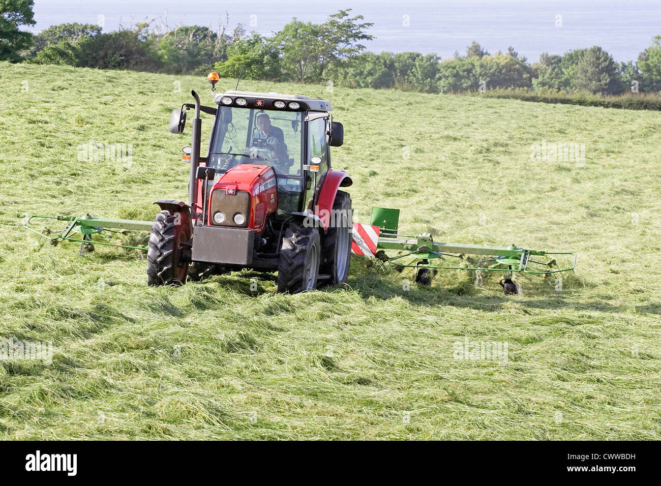 A farmer with tractor turning new mown grass whilst making silage. Stock Photo