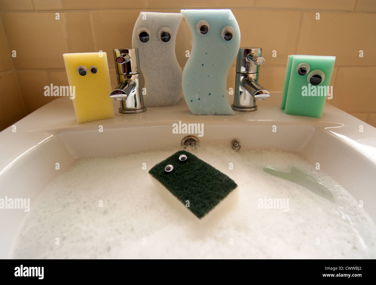 Cleaning sponges of different sizes and shapes sitting on bathroom sink.with comic eyes attached Stock Photo