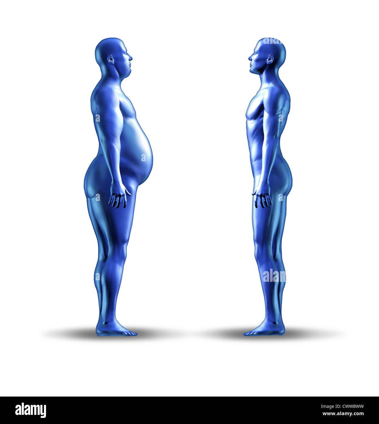 Losing weight symbol with an over weight man facing a normal fit human representing the concept of eating disorder and nutrition for a healthy lifestyle. Stock Photo