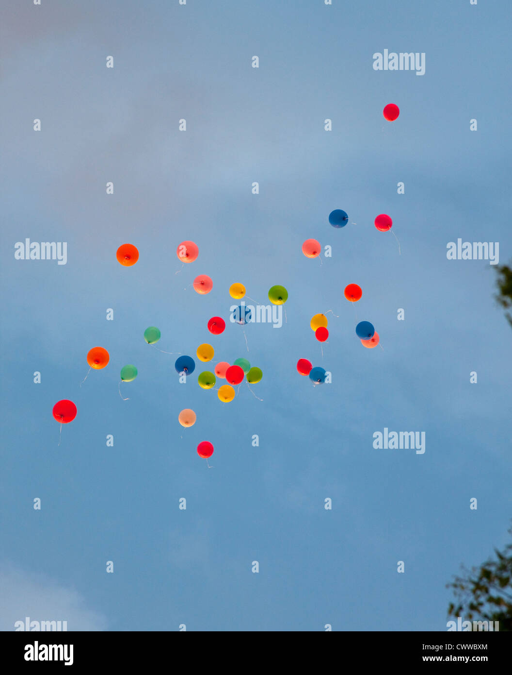 Bunch of balloons floating in sky Stock Photo