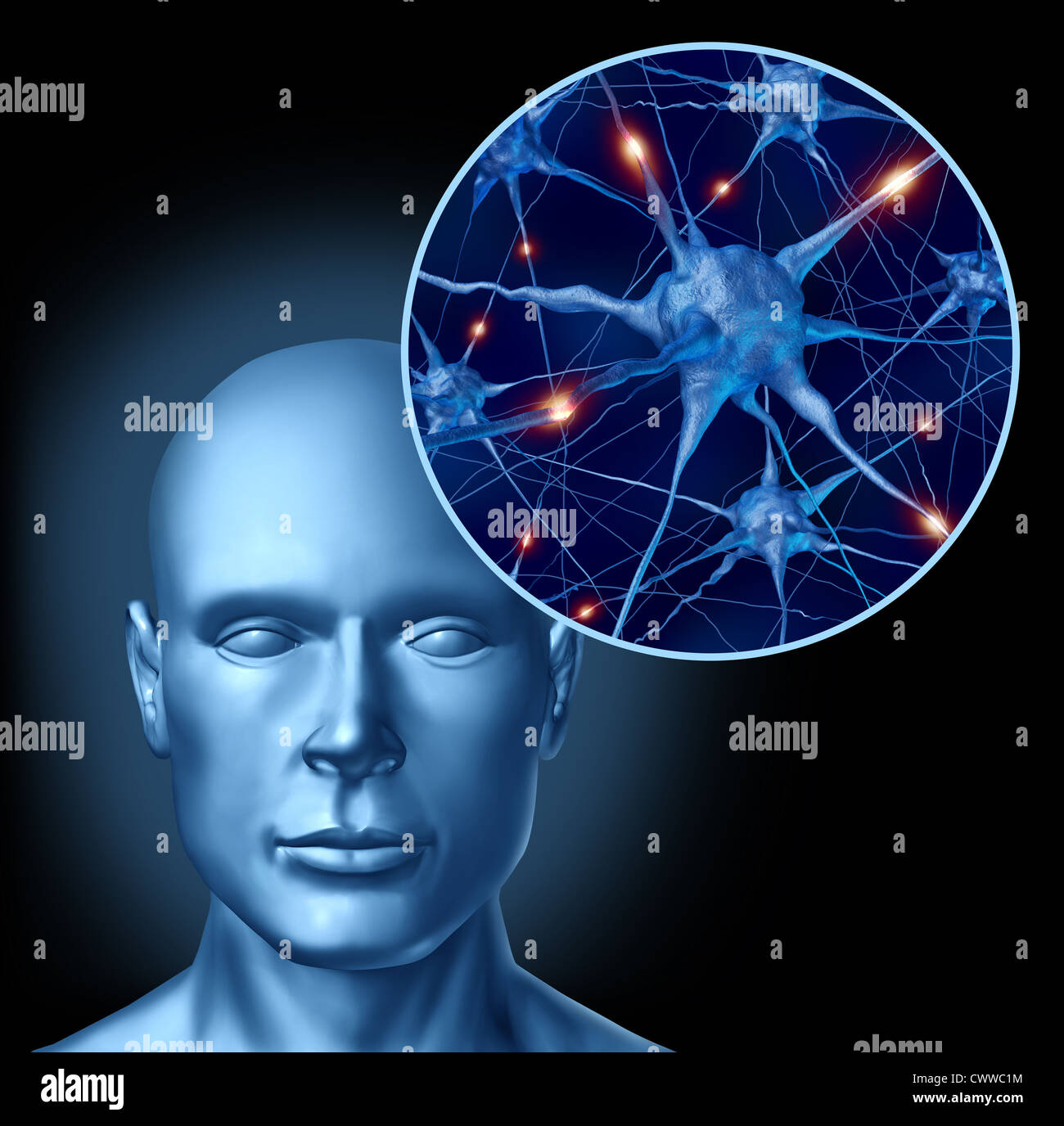 Human intelligence brain medical symbol represented by a close up of active neurons and organ cell activity related to neurotransmitters showing intelligence with memory and healthy cognitive thinking activity. Stock Photo