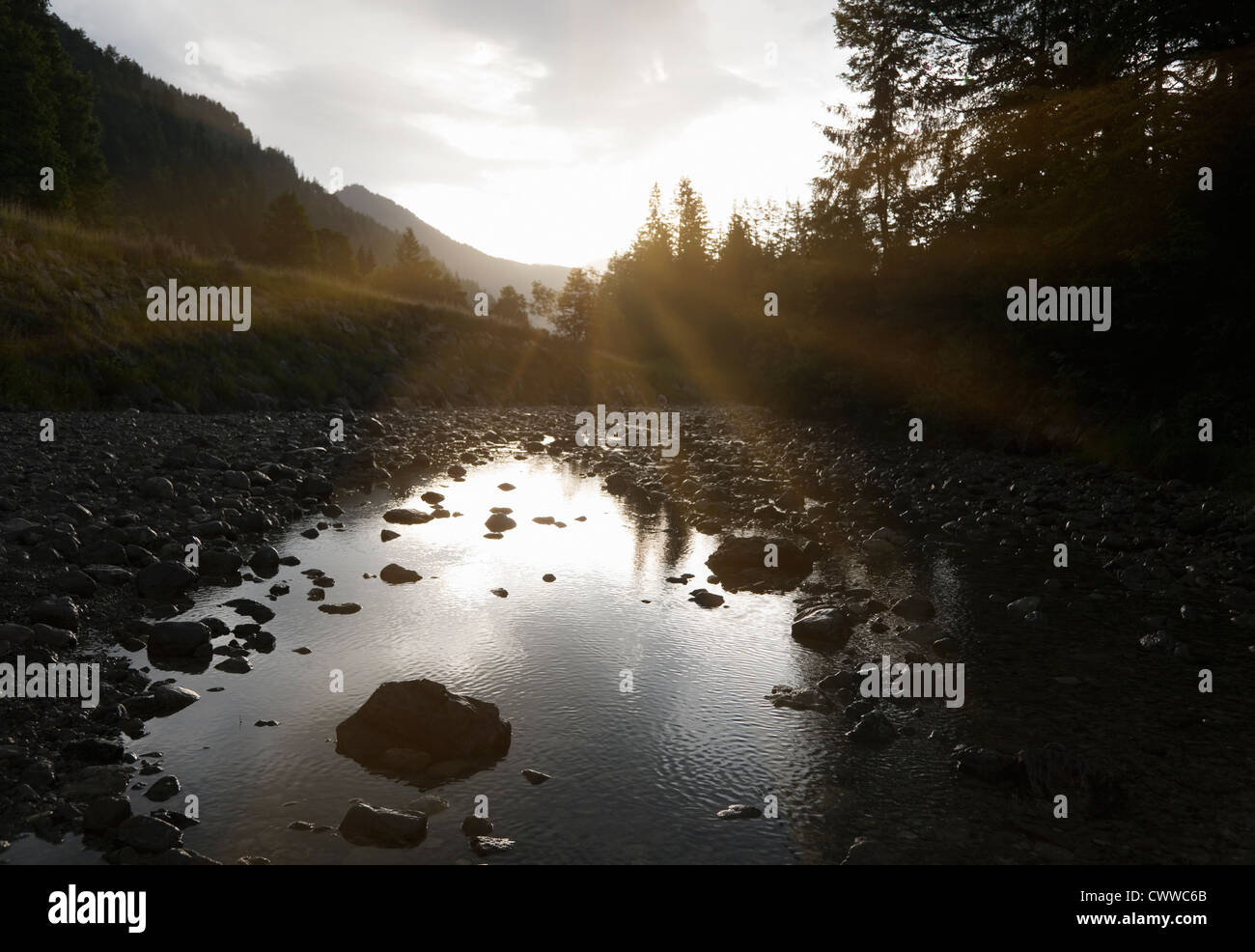 Still rocky river in forest Stock Photo - Alamy