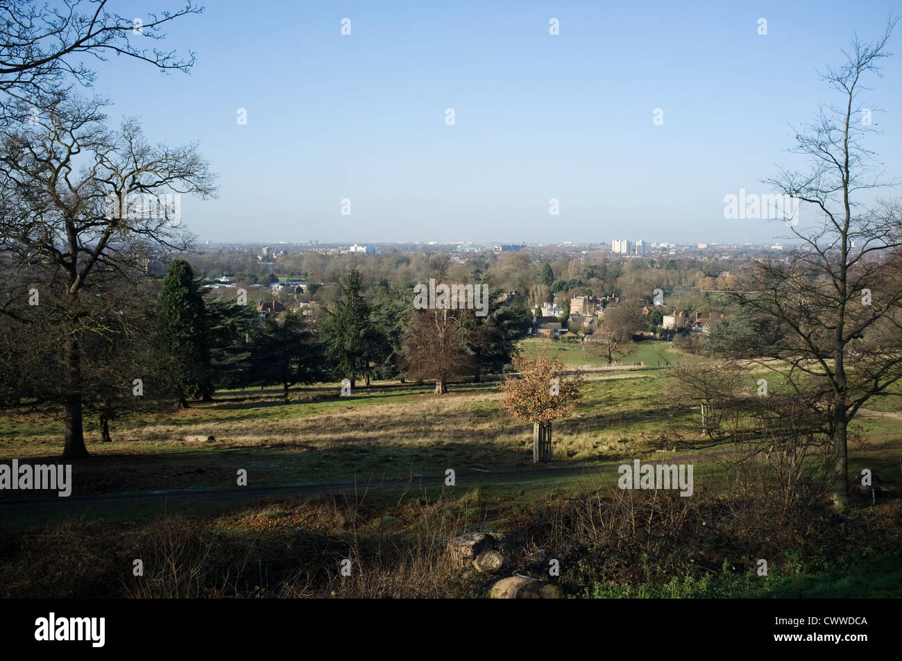 The view south towards Ham from Richmond Park near Richmond Gate