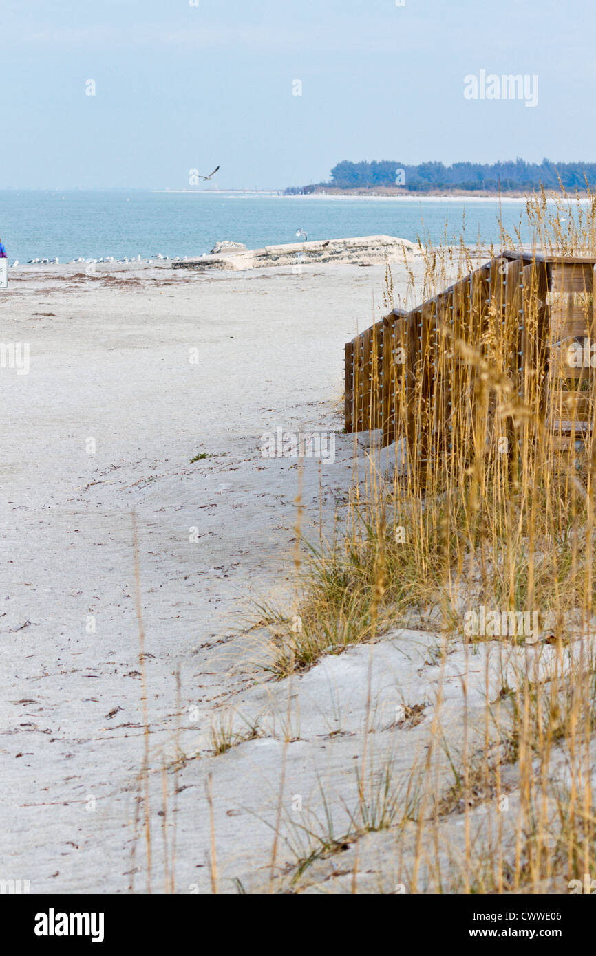 Dunes and sea grasses along coast line in Fort De Soto county park in Tierra Verde, Florida Stock Photo