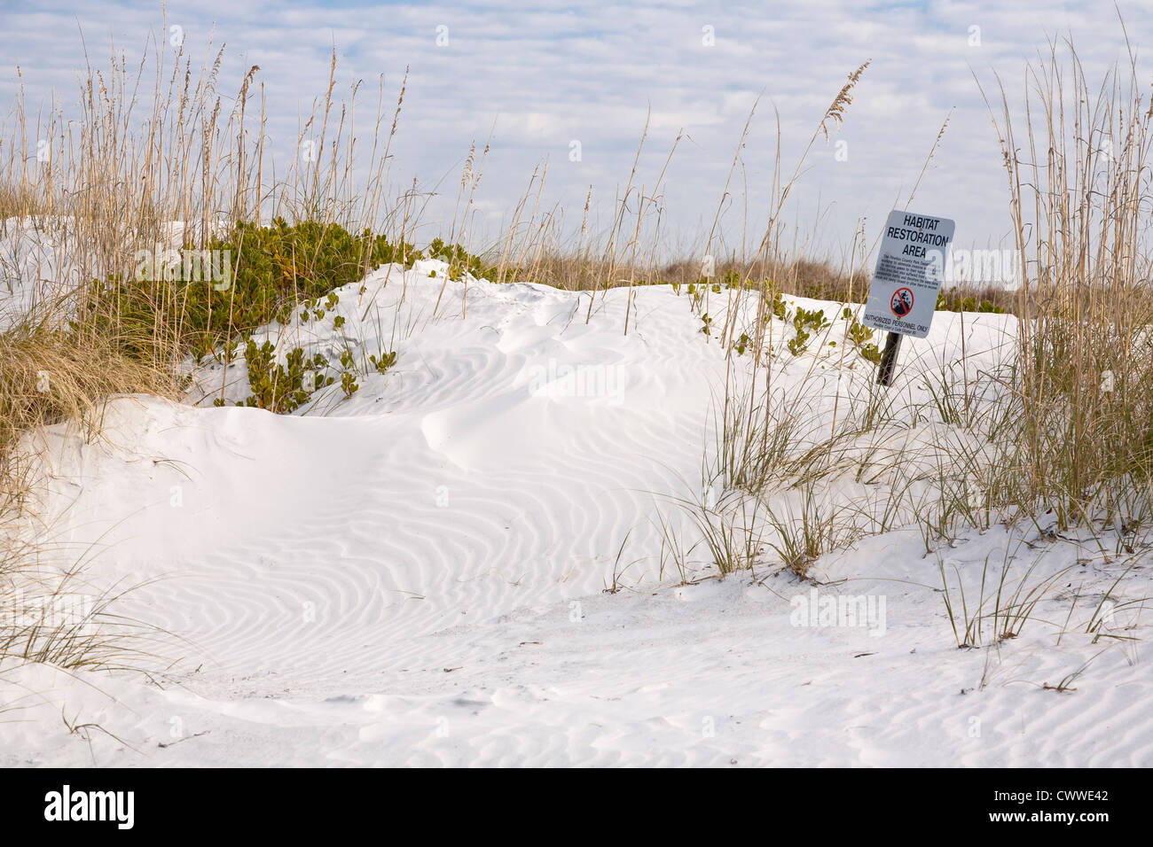 Sign warns of habitat restoration area in sand dunes along coast line in Fort De Soto county park in Tierra Verde, Florida Stock Photo