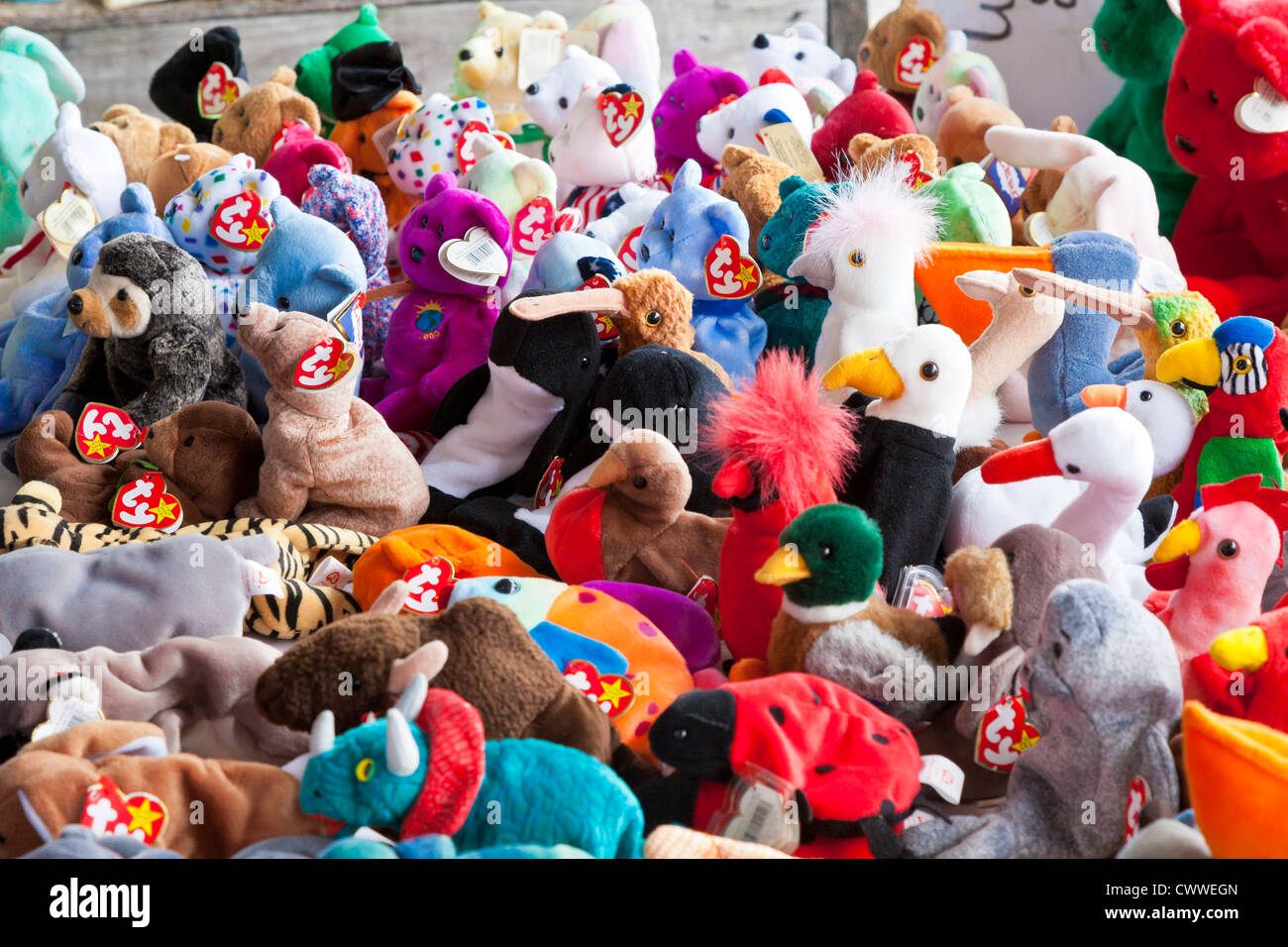 Pile of Beanie Baby soft stuffed toys Stock Photo