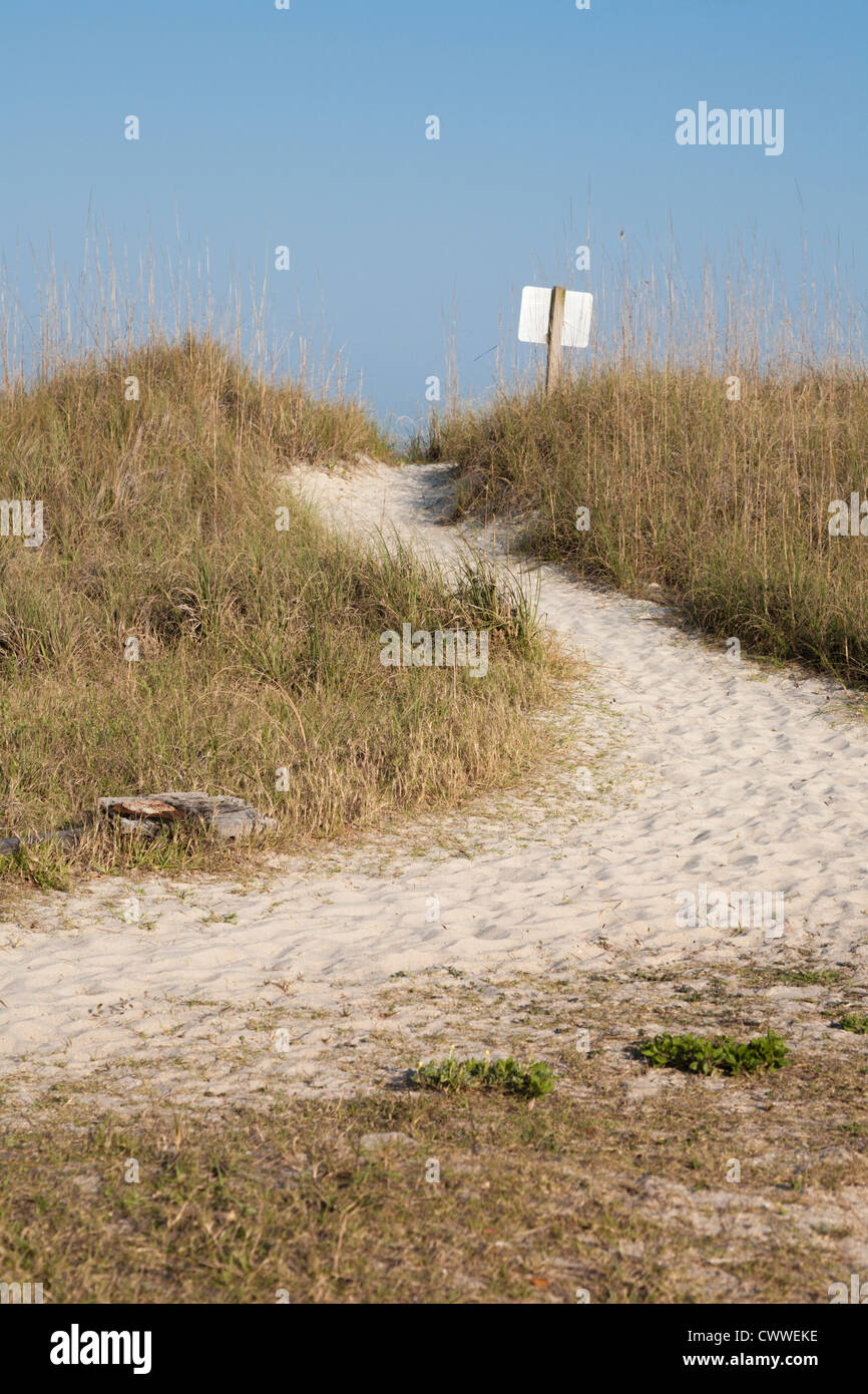 Sand walkway in the grasses over sand dunes on the beach at Amelia Island, Florida Stock Photo