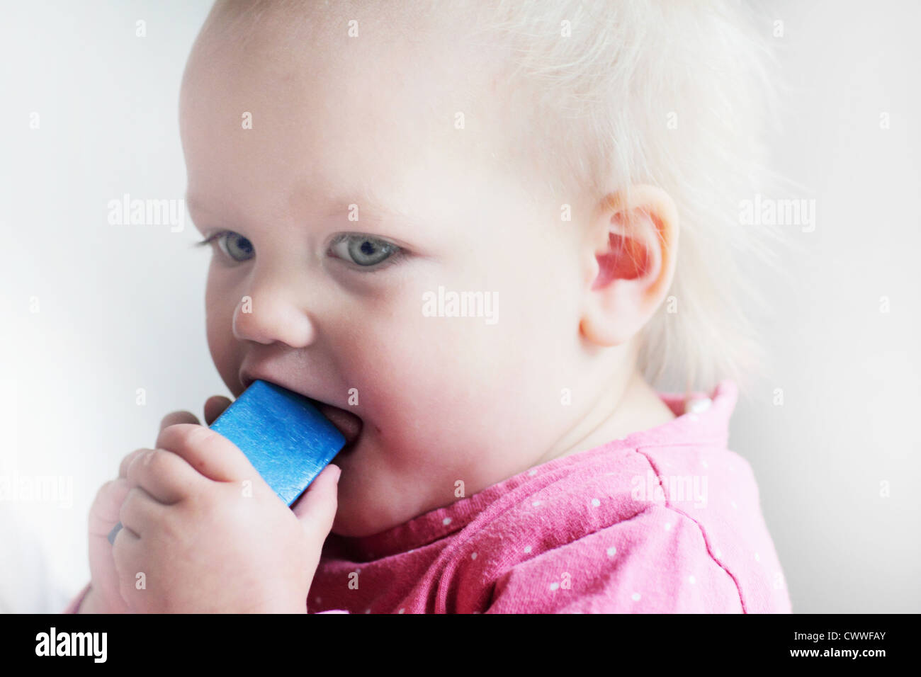 Toddler chewing on toy block Stock Photo Alamy