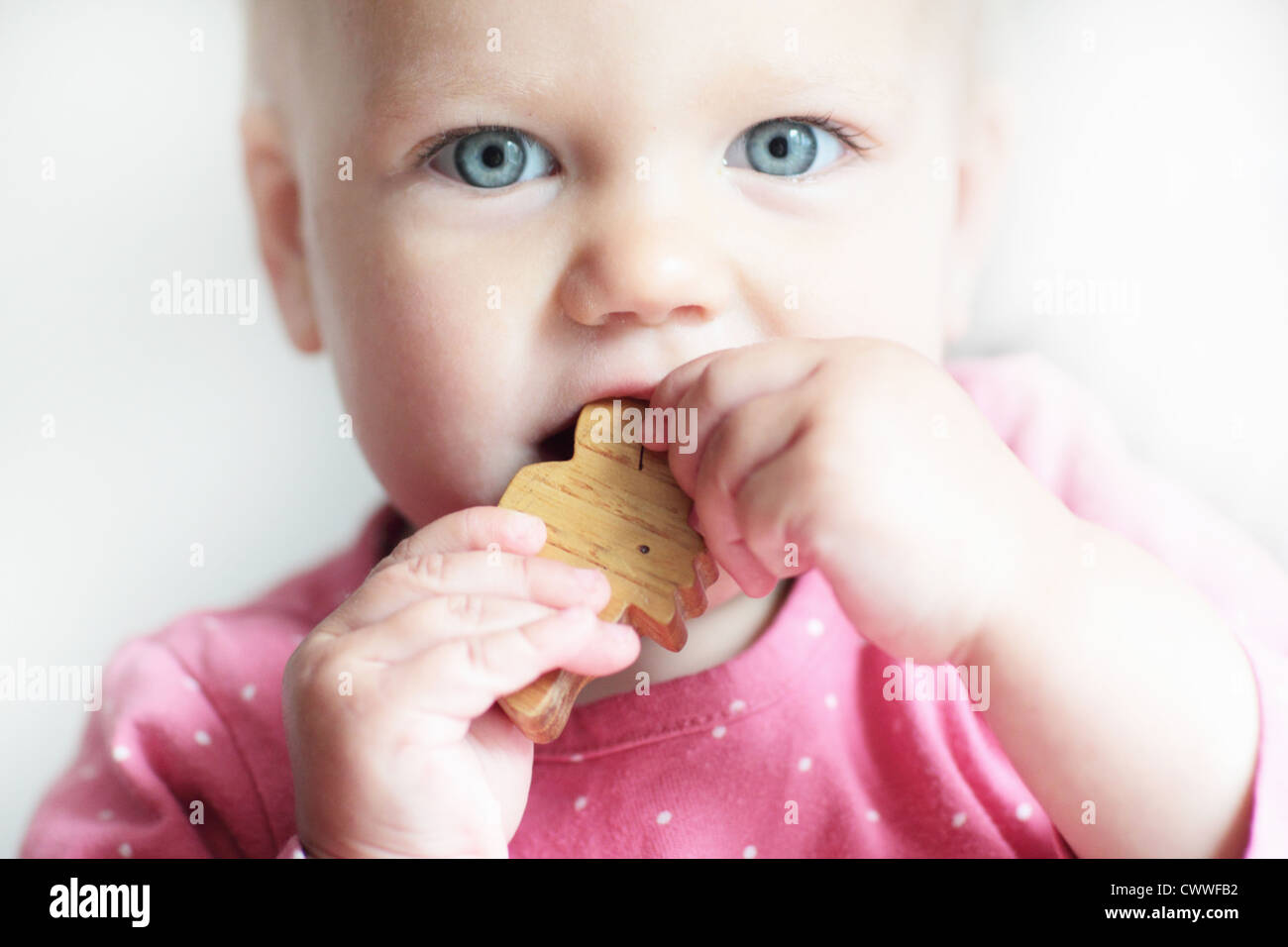 Toddler chewing on toy block Stock Photo Alamy