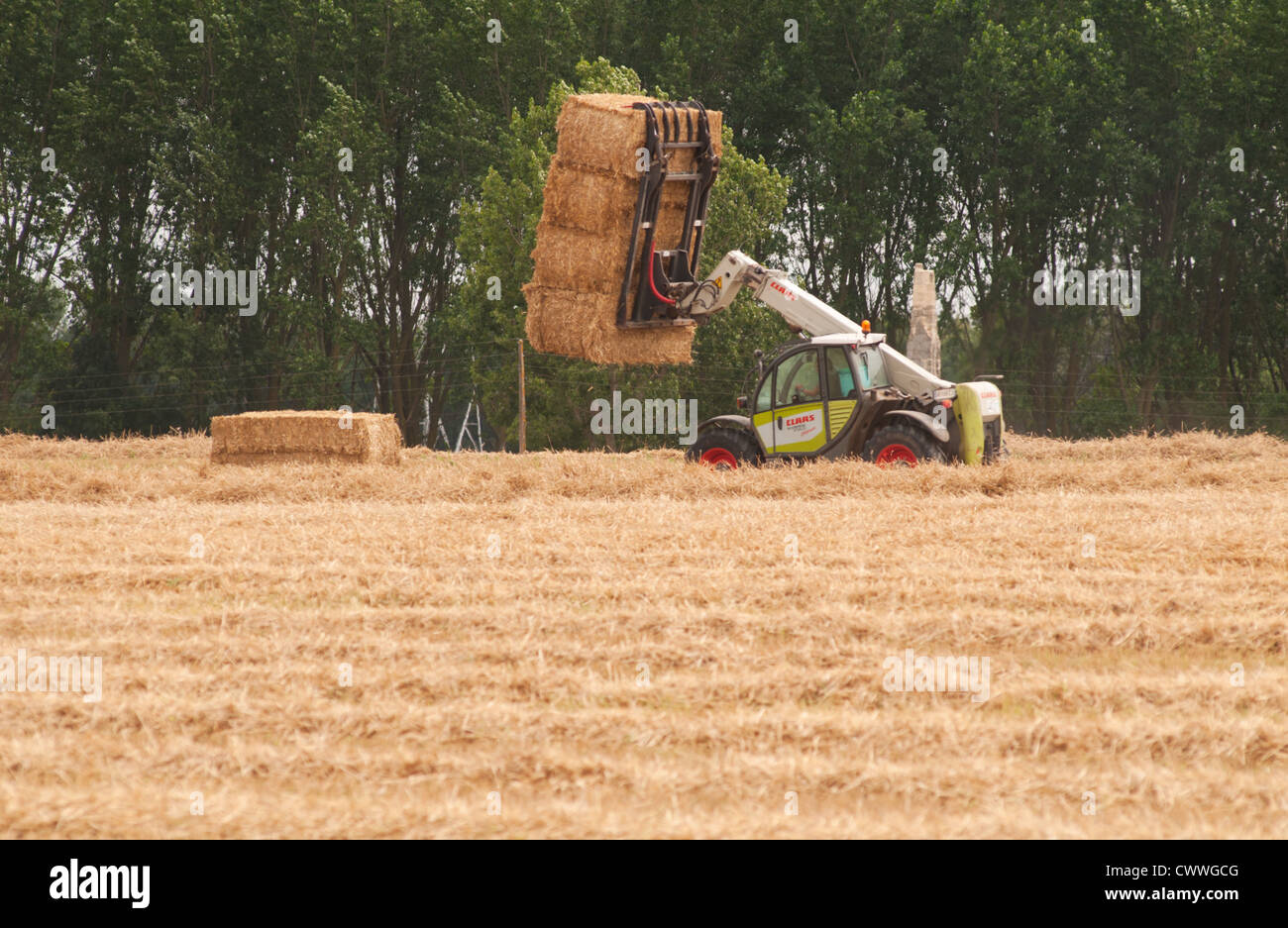 Harvesting hay, Rochemenier, Maine-et-Loire, Pays de la Loire, France. Stock Photo