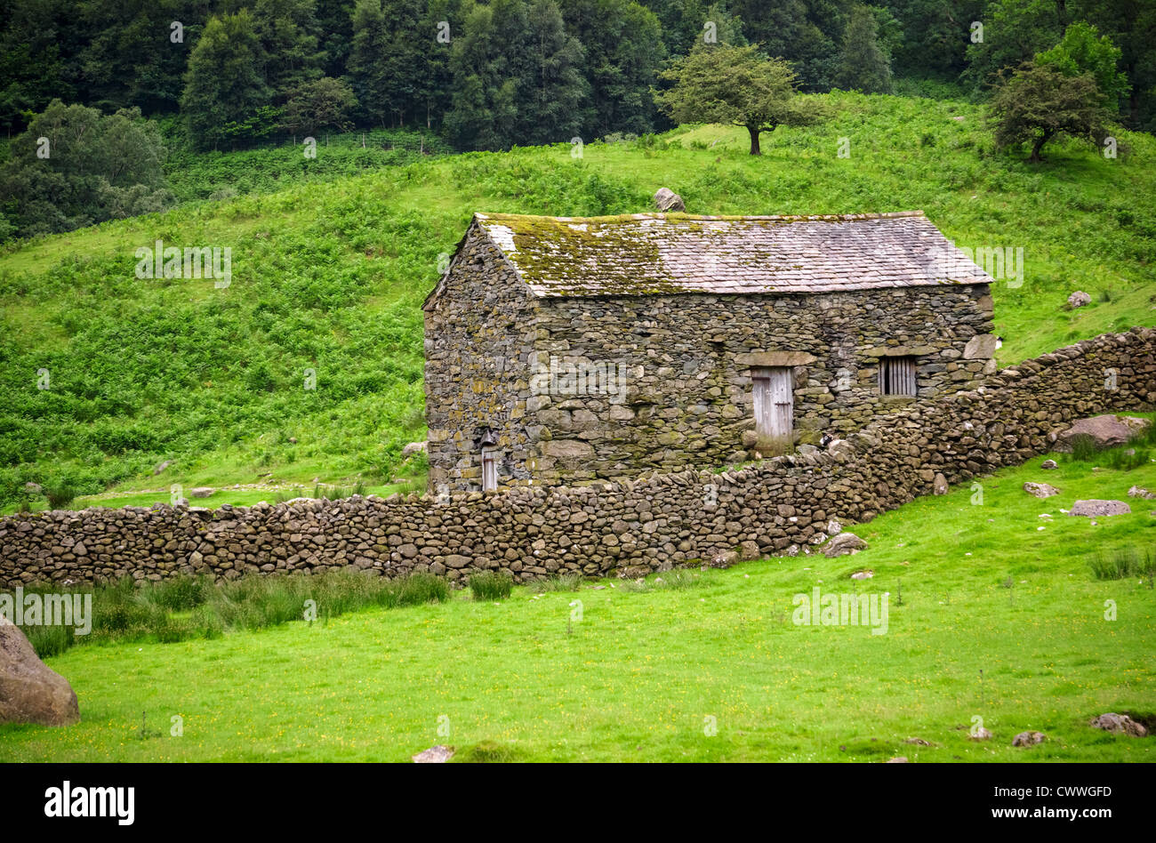 A stone barn in green pastures and trees near Hartsop Hall in the Lake District, Cumbria. Stock Photo