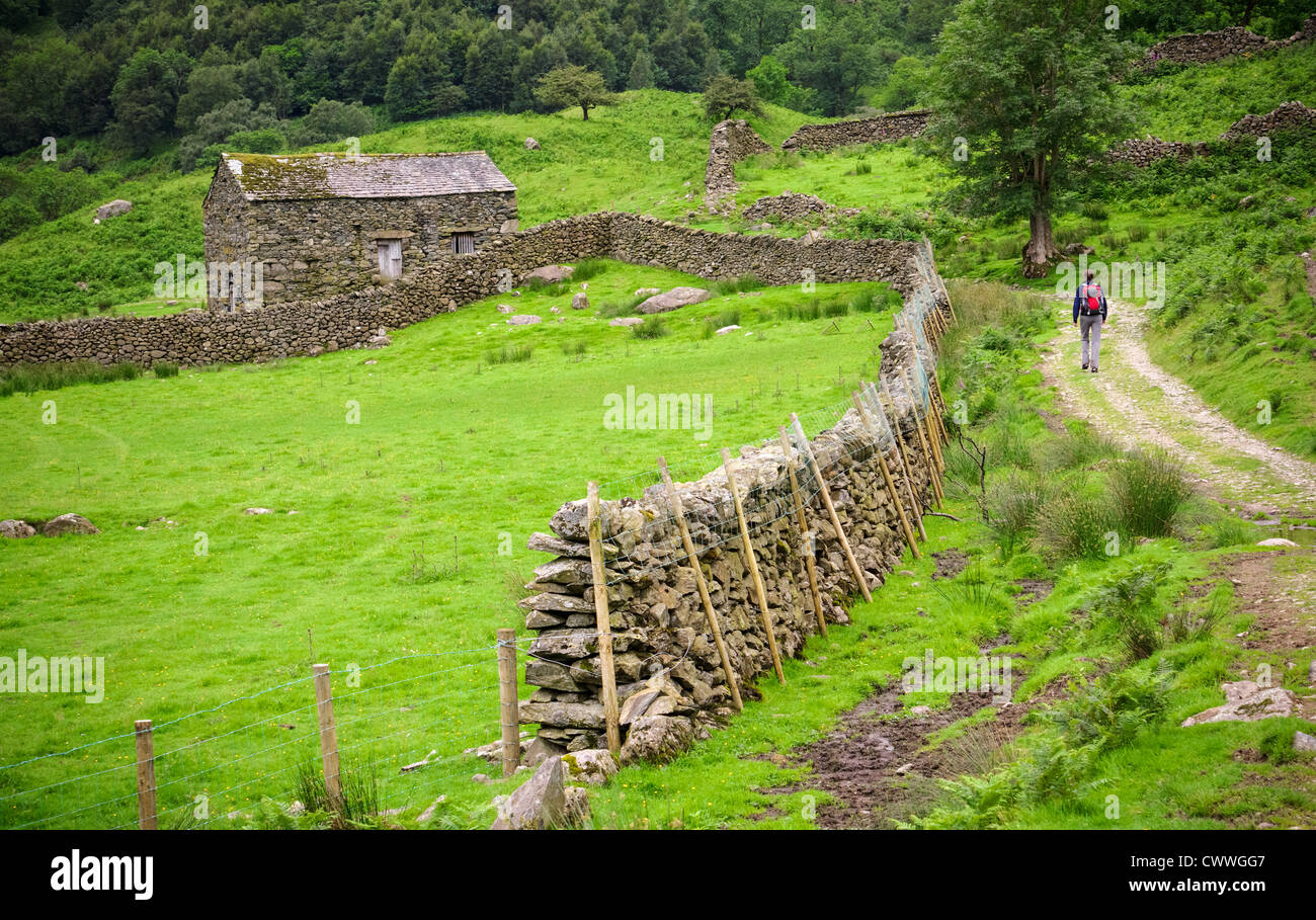 A hiker walking along a rough track towards a stone barn near Dovedale Beck in the Lake District, Cumbria. Stock Photo