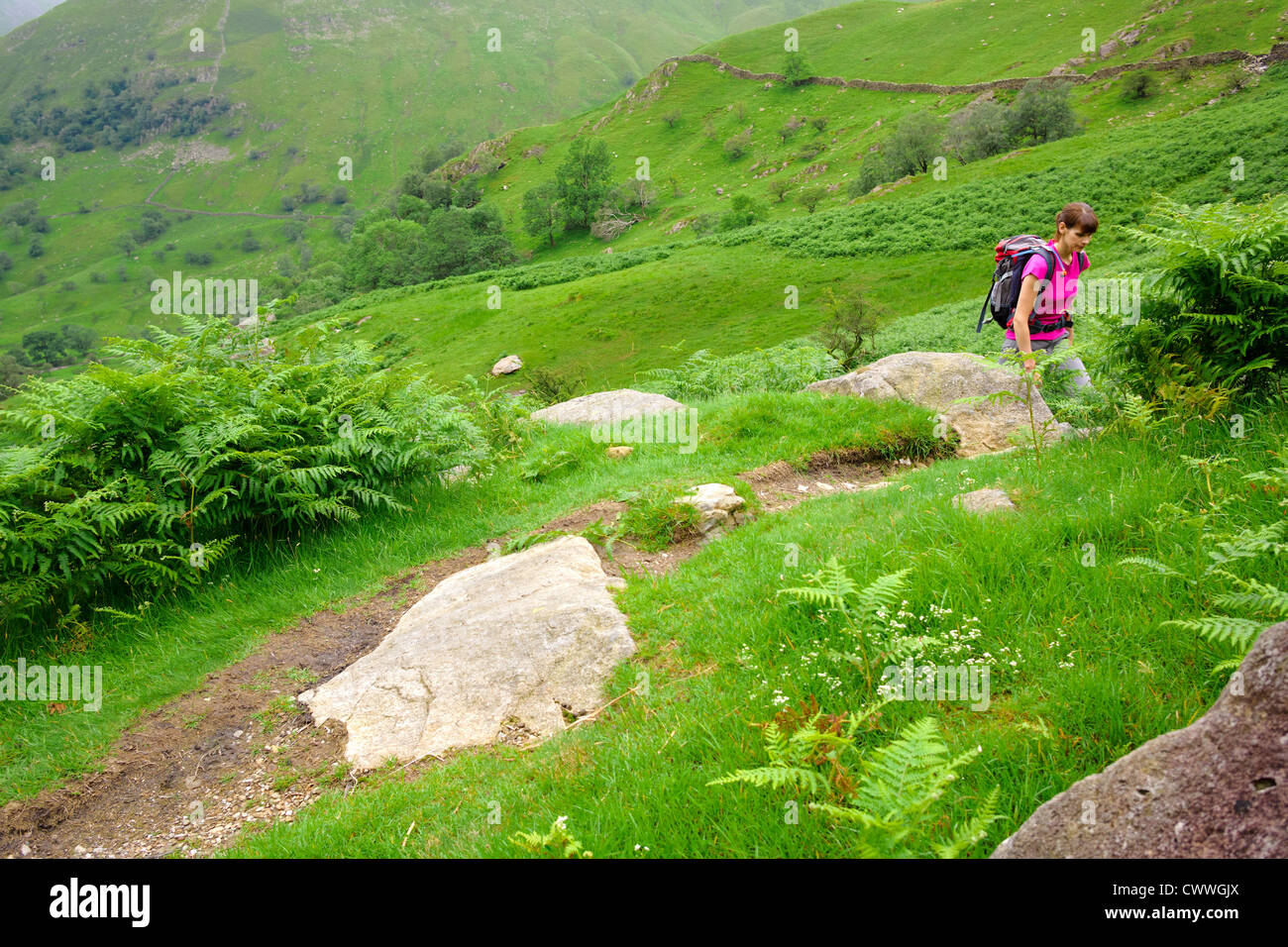 A female hiker following the path alongside Dovedale Beck in the Lake District, Cumbria. Stock Photo