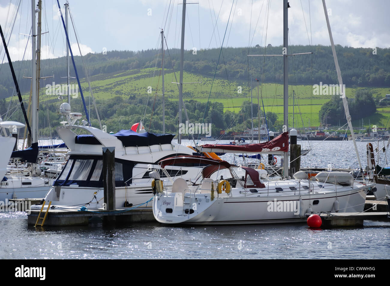 Boats in a marina in Rhu / Helensburgh, Scotland, UK Stock Photo