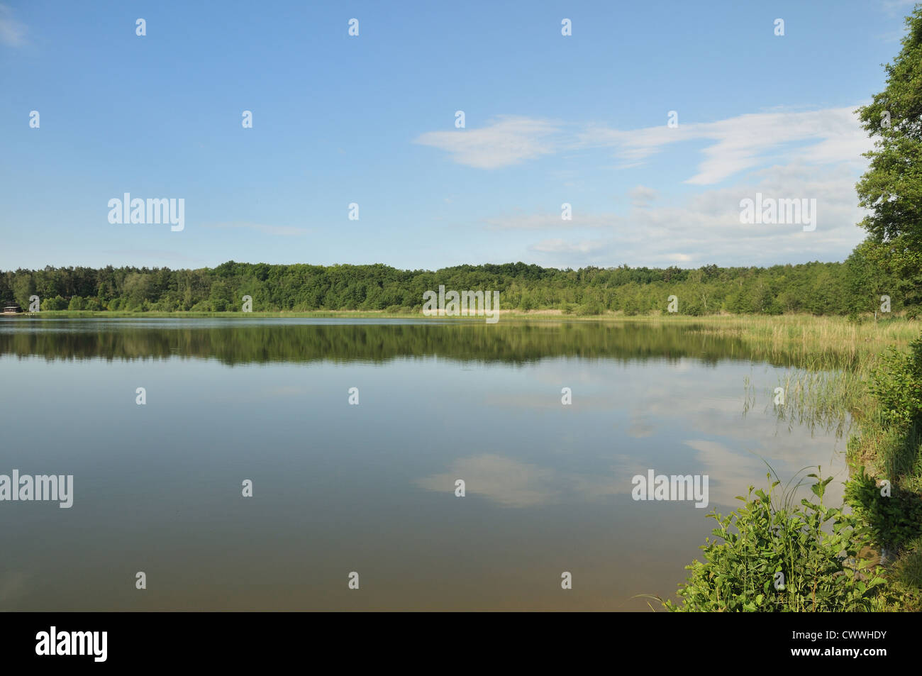 Machovo jezero - Macha's lake, Stare Splavy, Czech republic Stock Photo -  Alamy