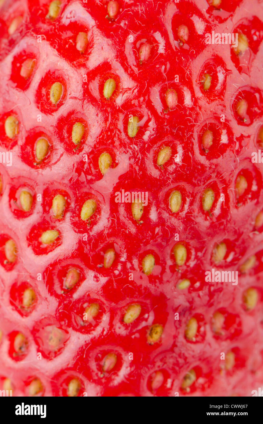 Macro of a red ripe strawberry texture Stock Photo - Alamy