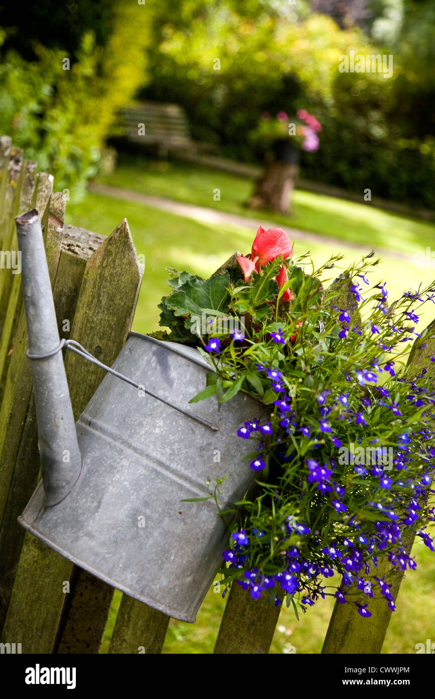 Flower display in an old watering can hanging on a fence Oxfordshire England Stock Photo