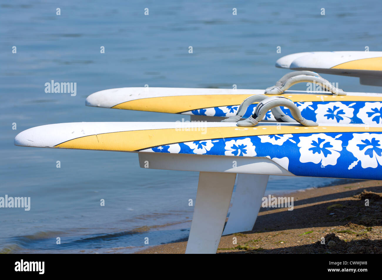 Windsurfing boards lined up along shore of Lake Waconia Stock Photo