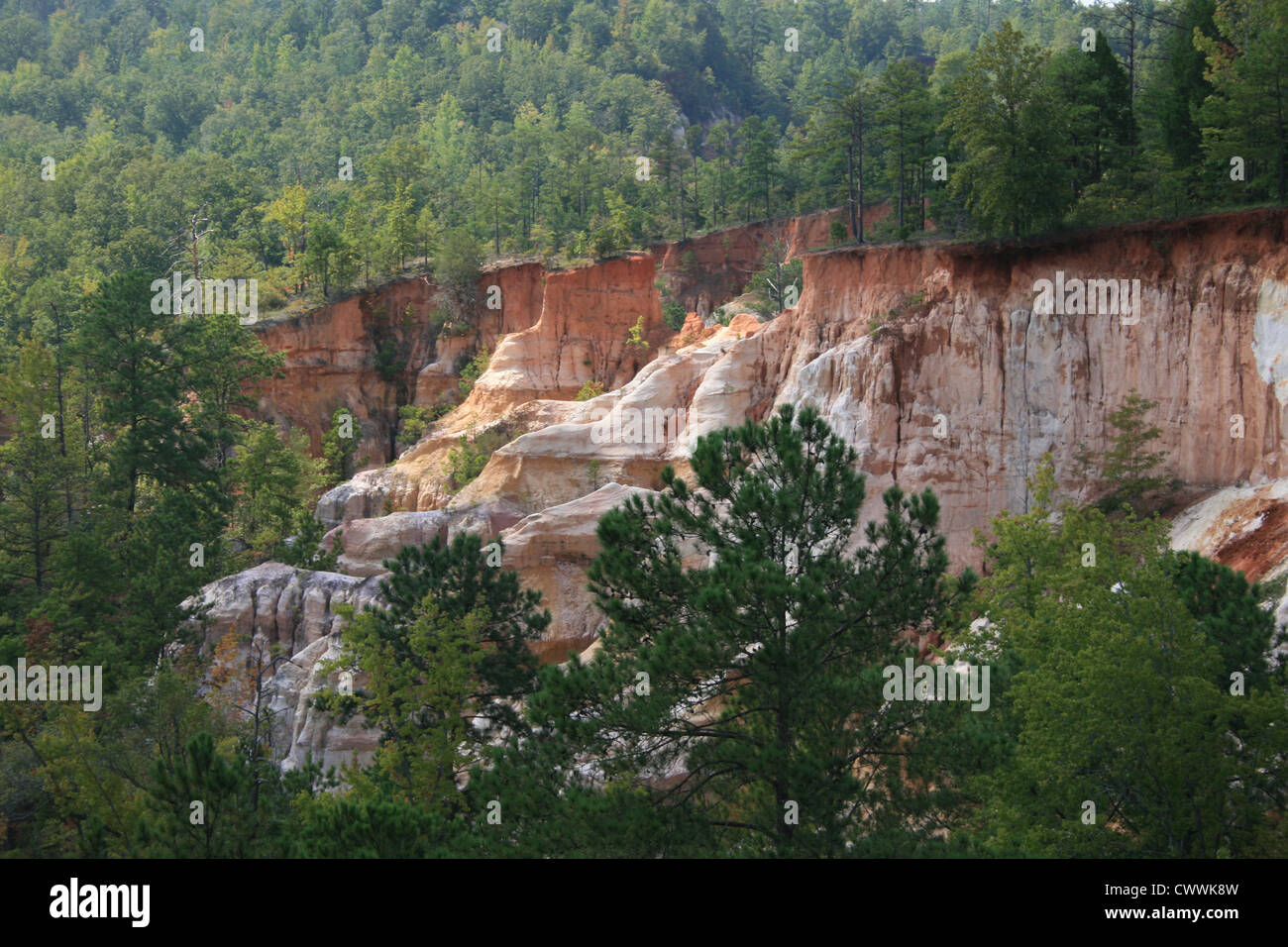 Providence Canyon State Park Georgia, GA Little Grand Canyon nature photograph picture poster print Stock Photo